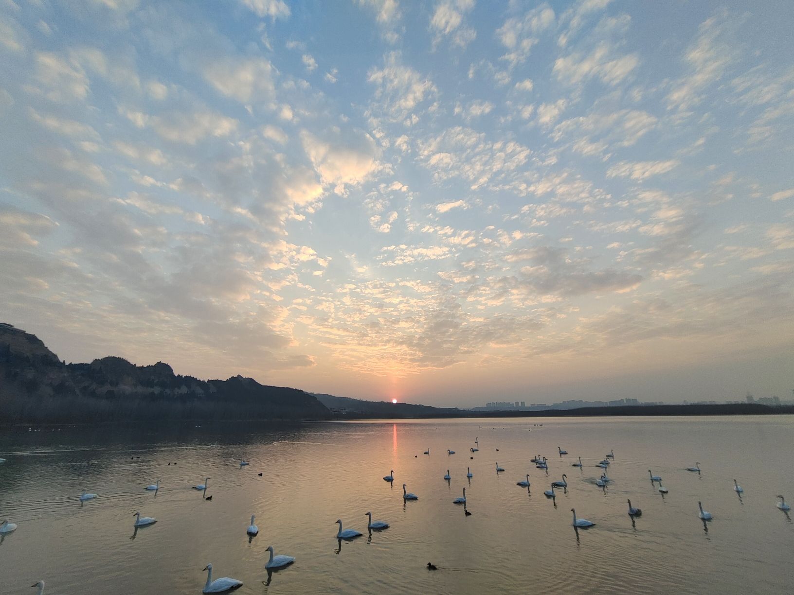 大天鹅景区旅行图片 1
