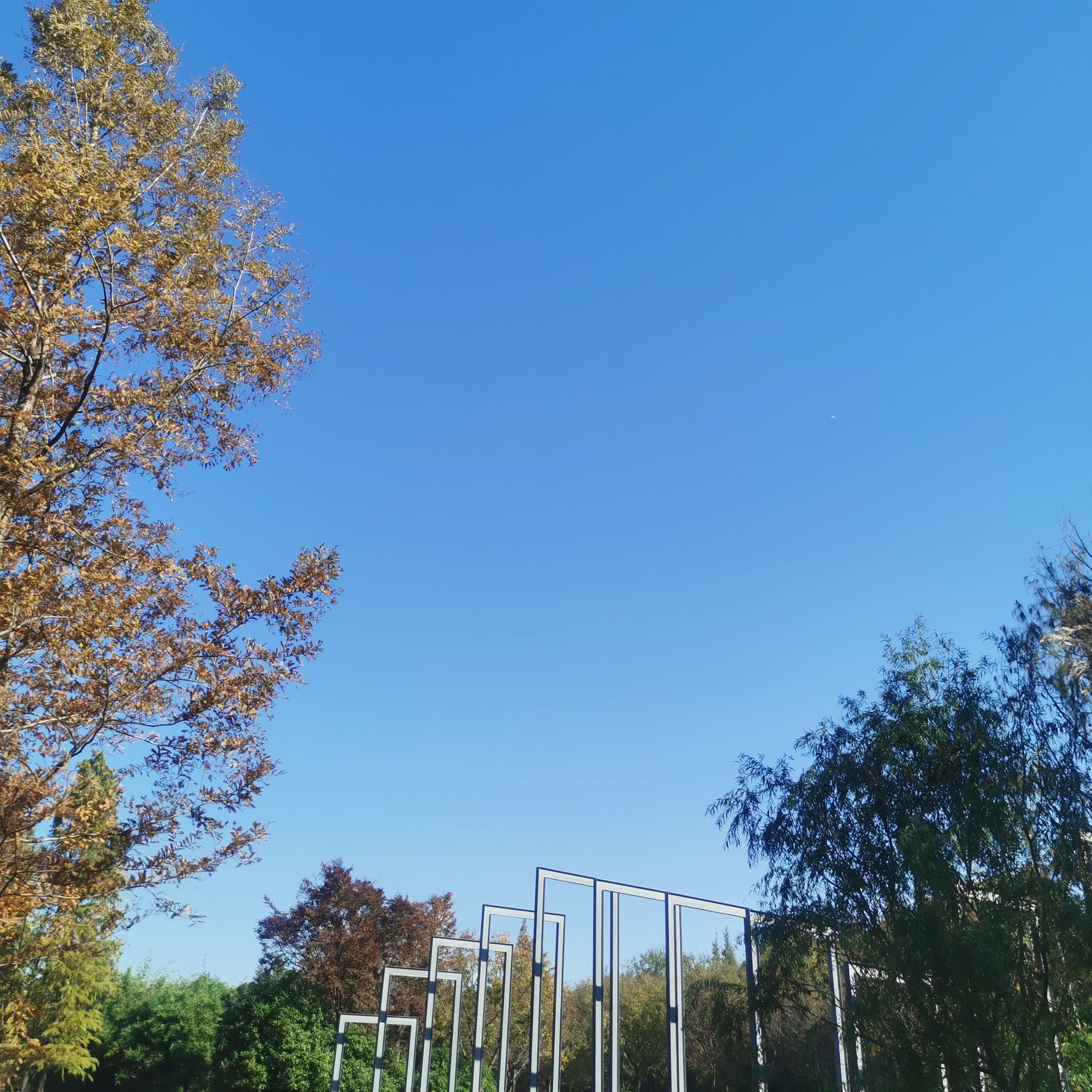 巴城生态湿地公园旅行图片 2