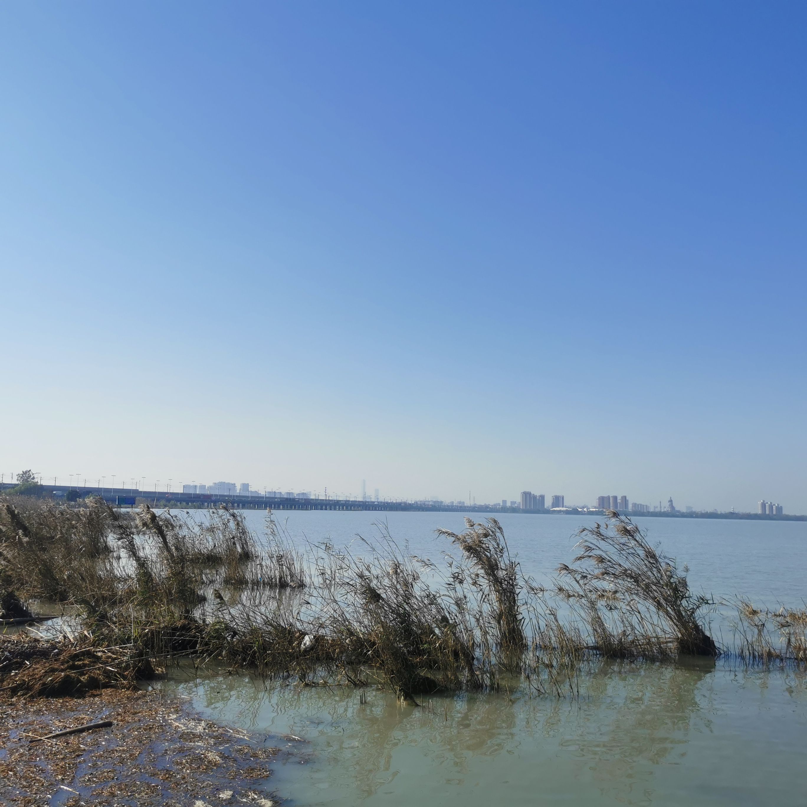 巴城生态湿地公园旅行图片 1