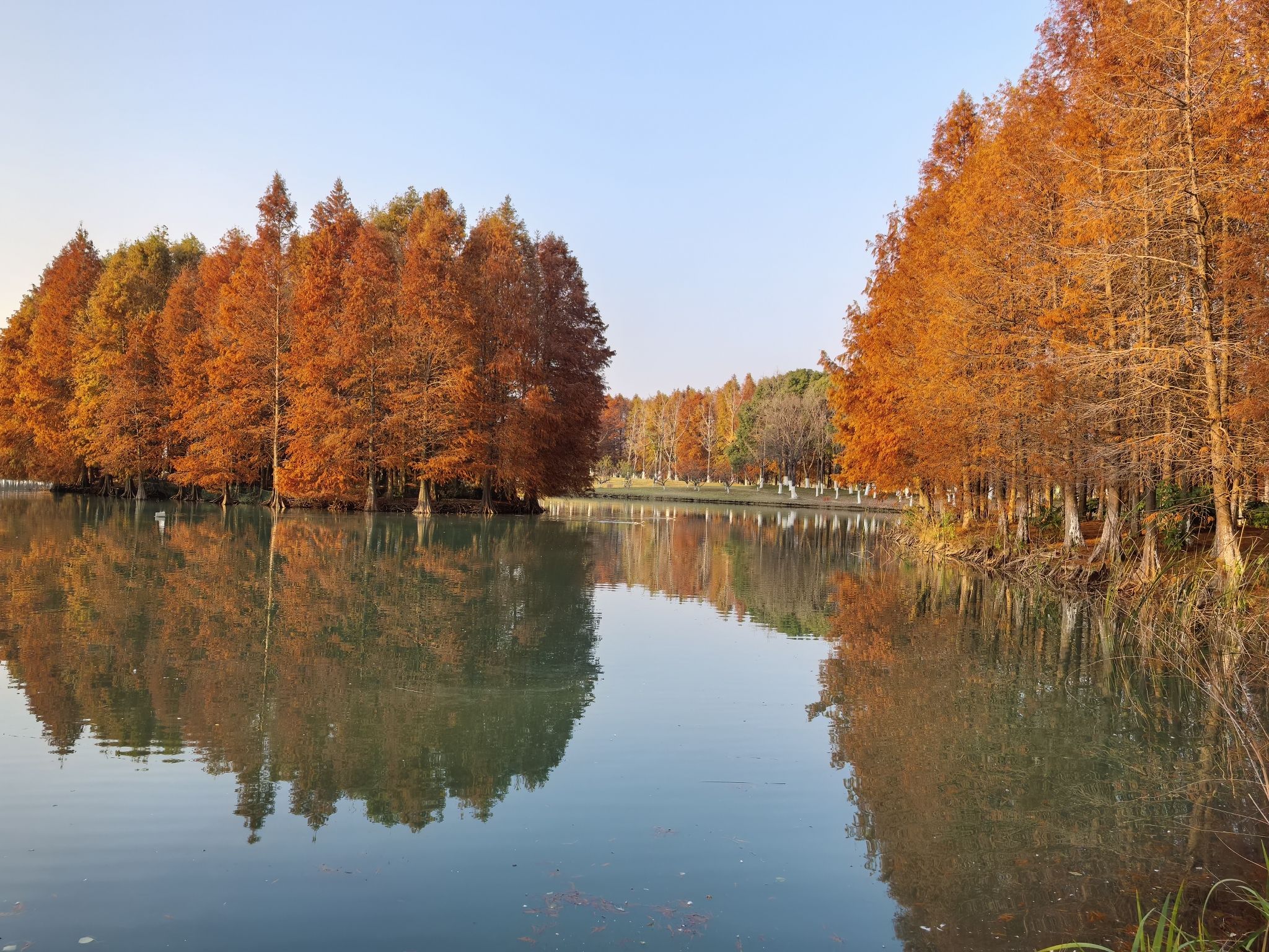 巴城生态湿地公园旅行图片 2