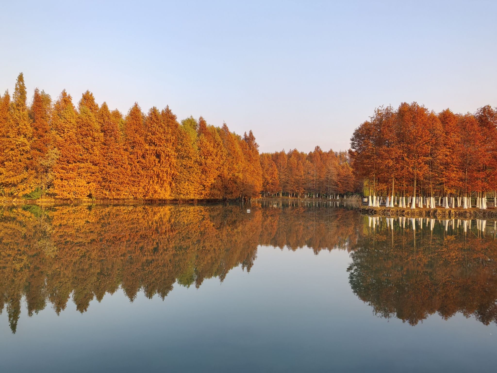 巴城生态湿地公园旅行图片 1