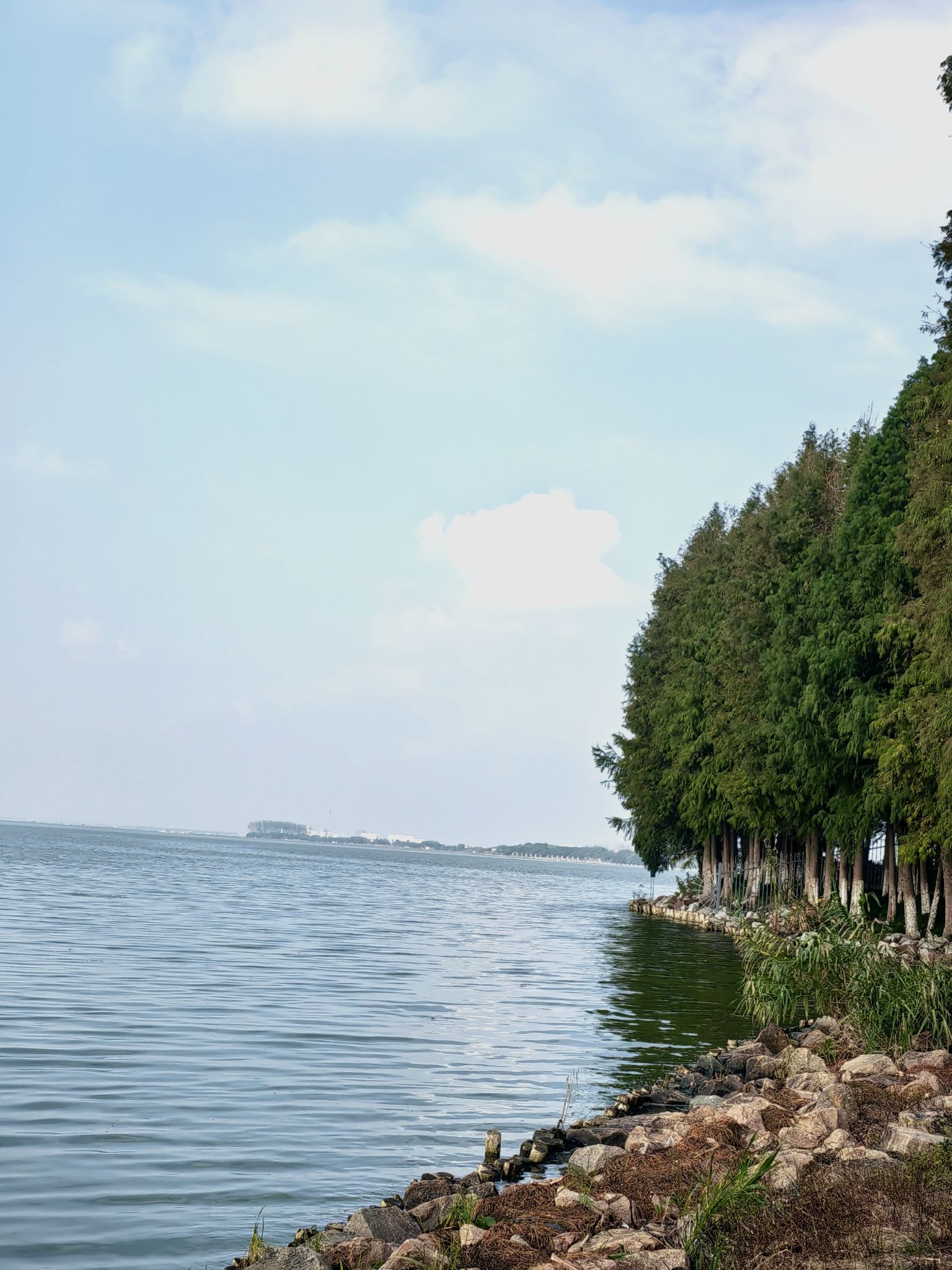 巴城生态湿地公园旅行图片 1