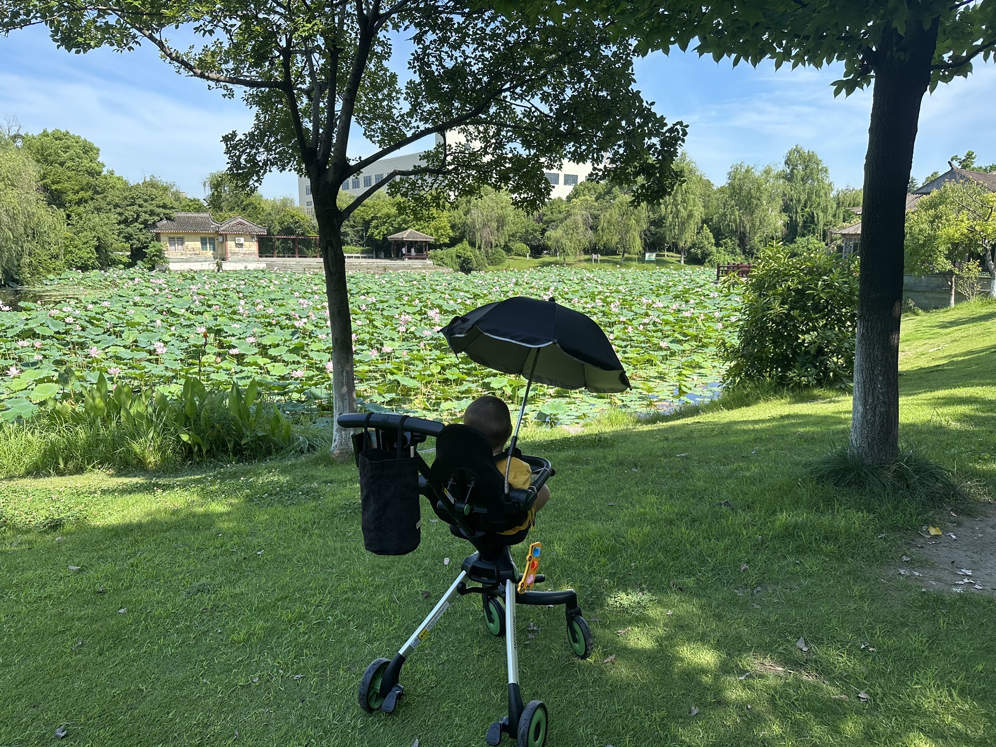 千竹公园旅行图片 2