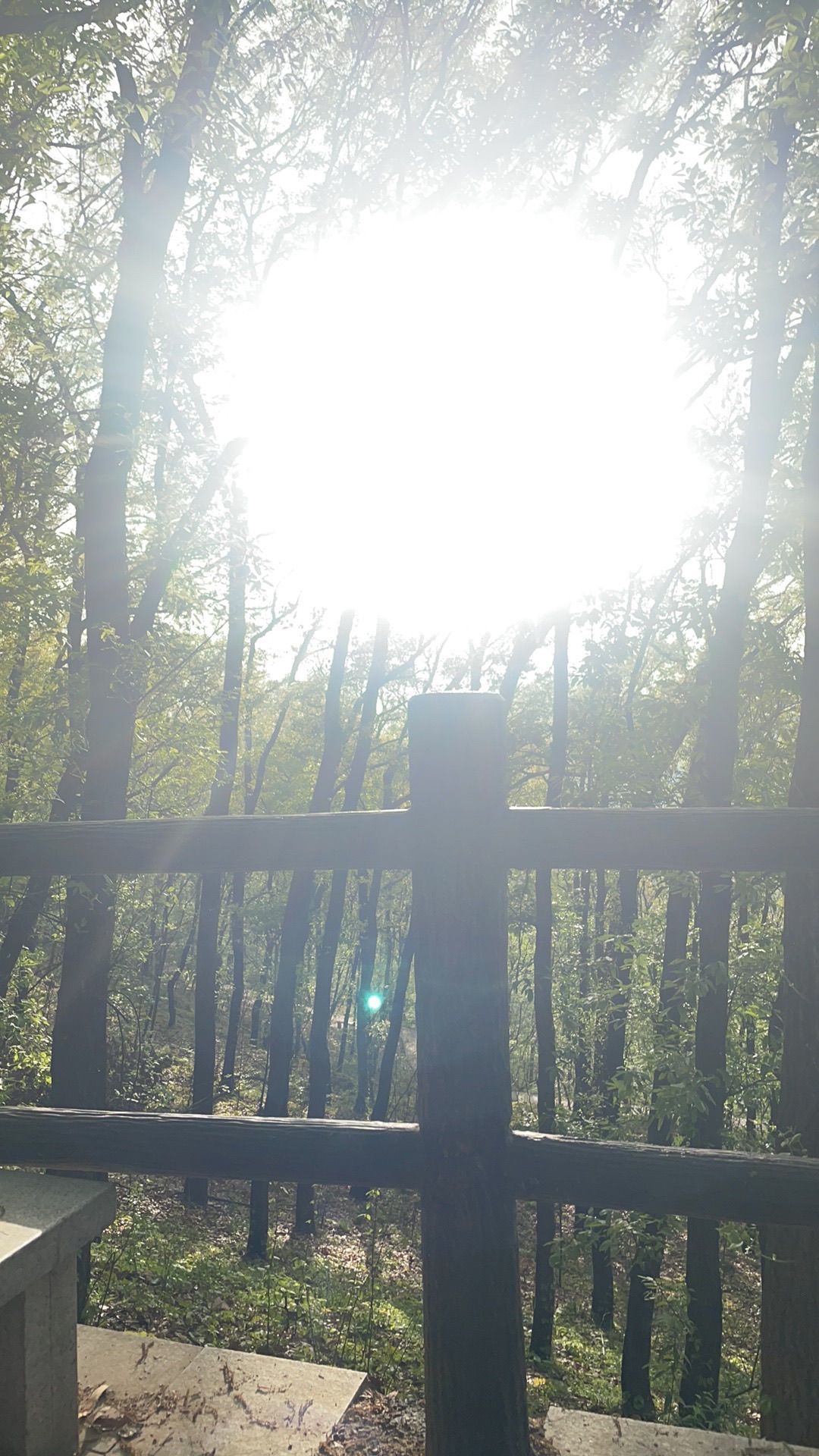 刘山公园旅行图片 3