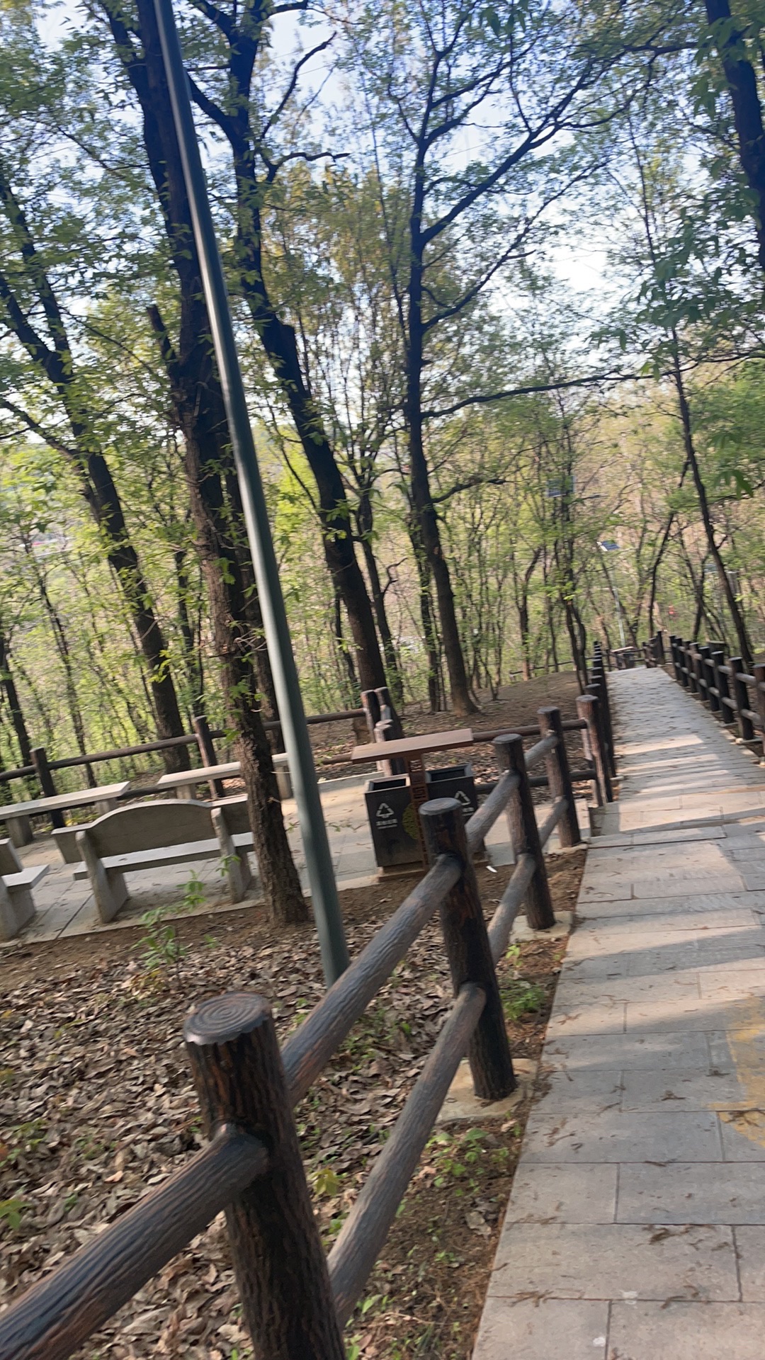 刘山公园旅行图片 2