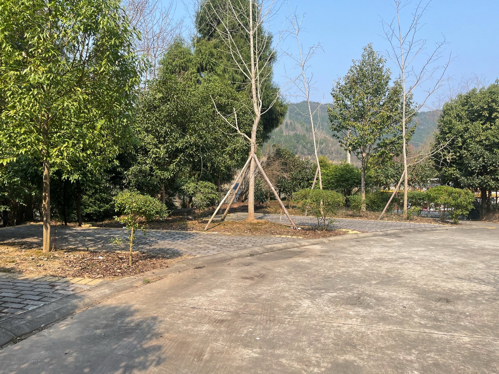 四川构溪河湿地公园旅行图片 1
