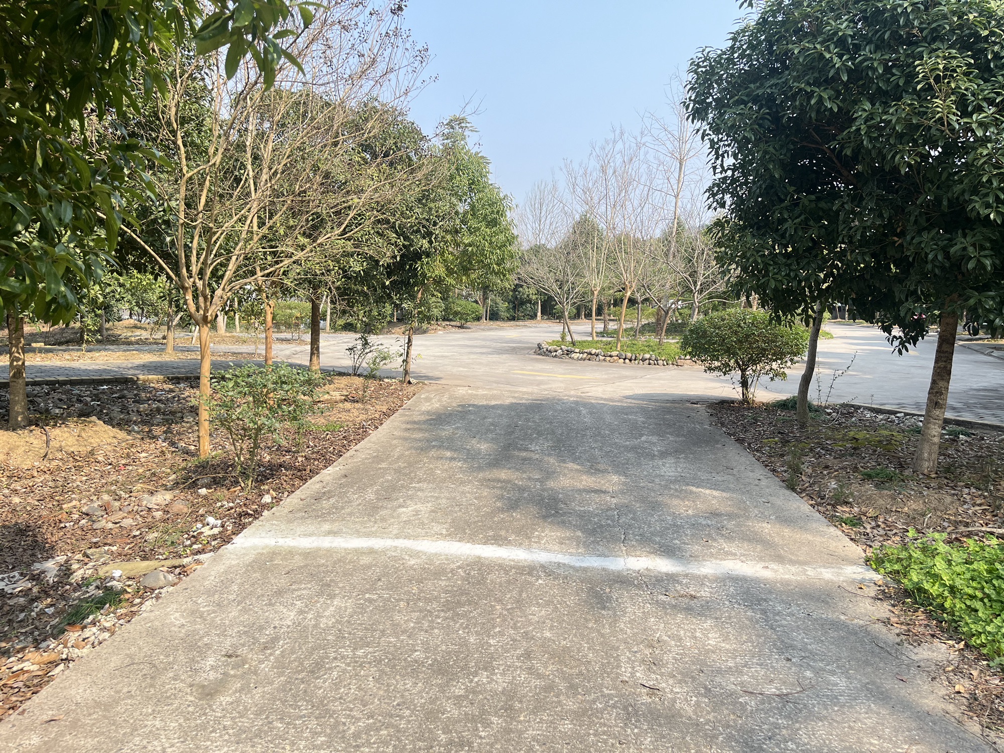 四川构溪河湿地公园旅行图片 2