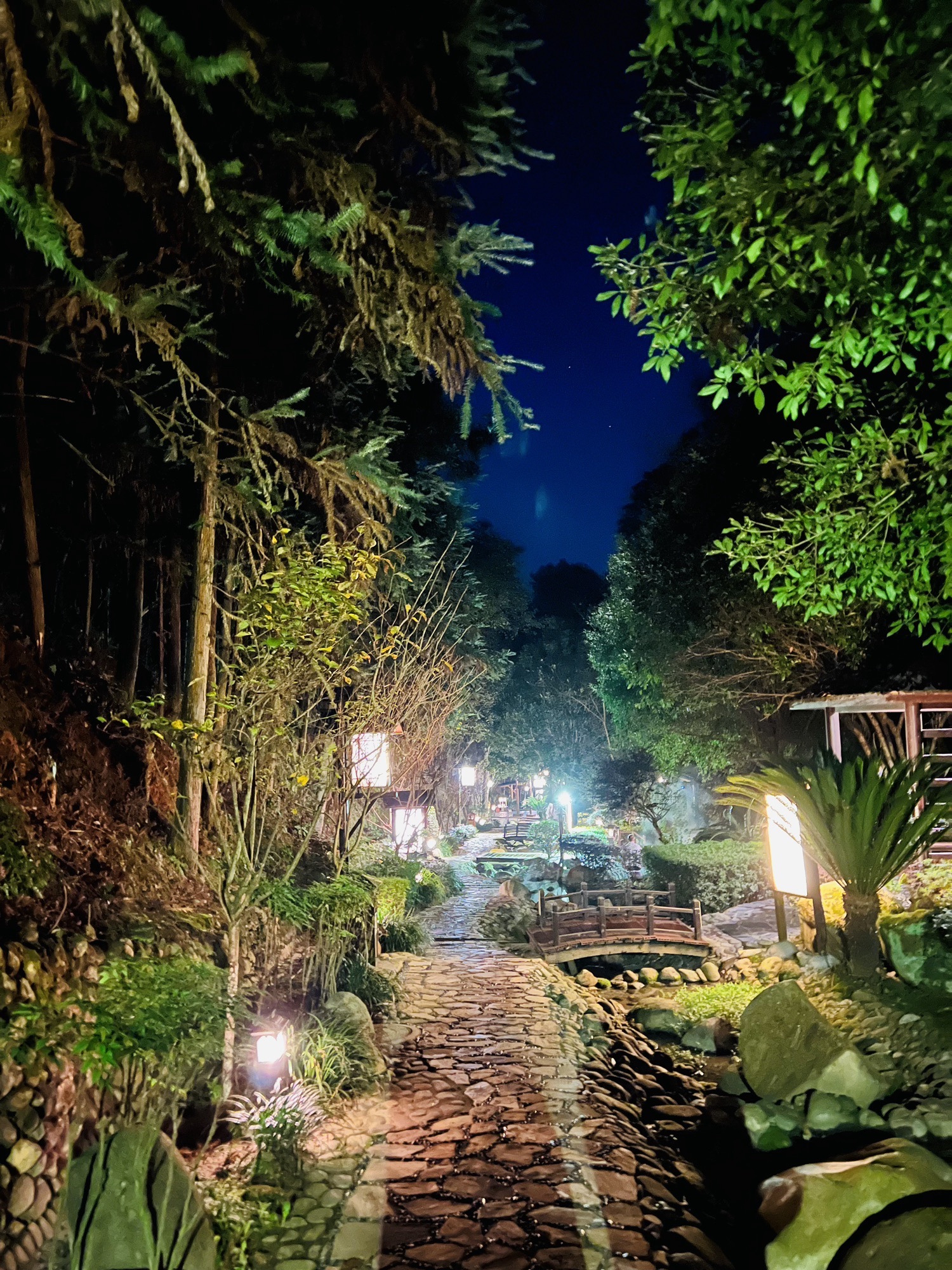 天沐温泉旅行图片 3