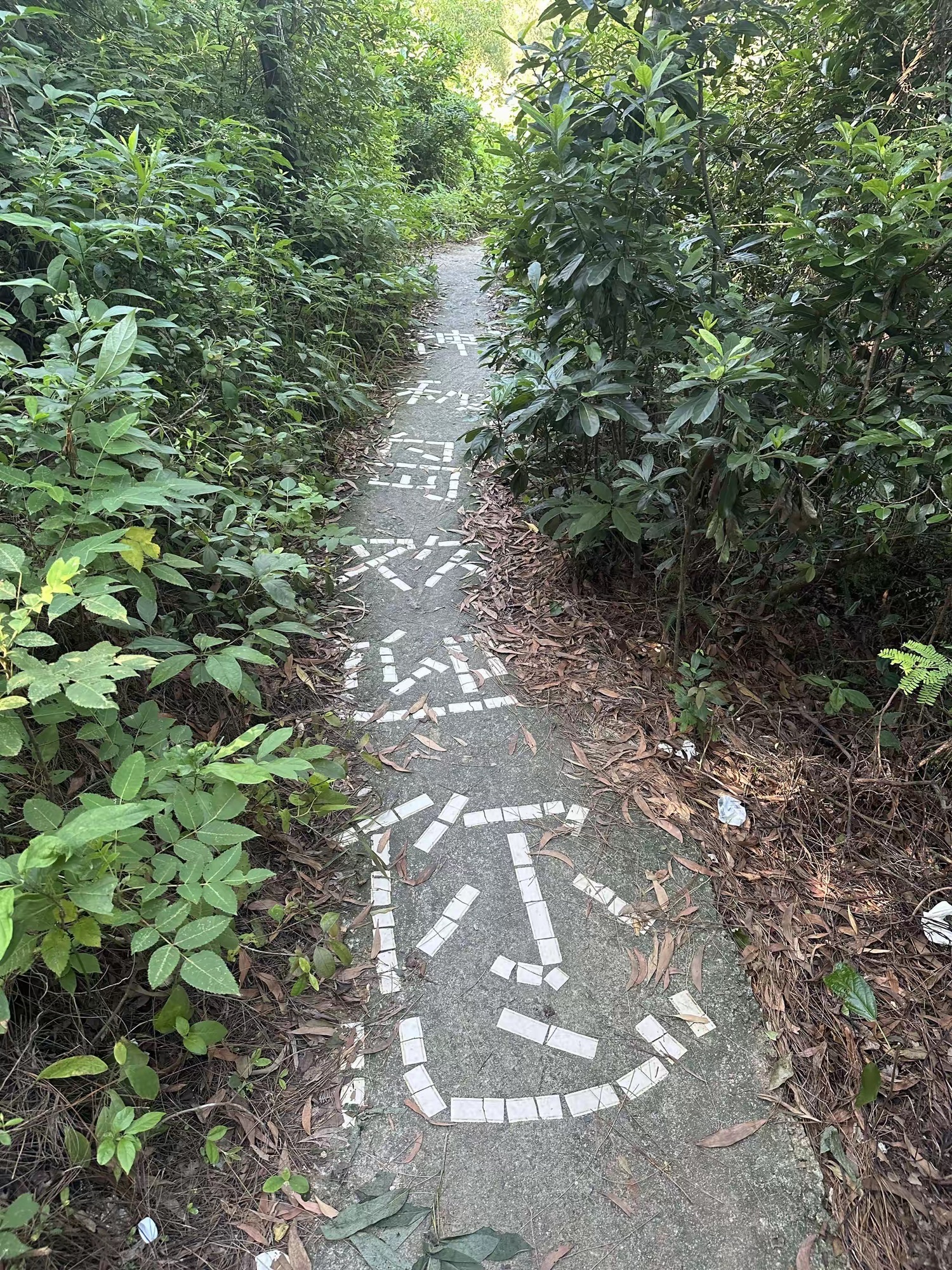 沙扒湾旅行图片 3