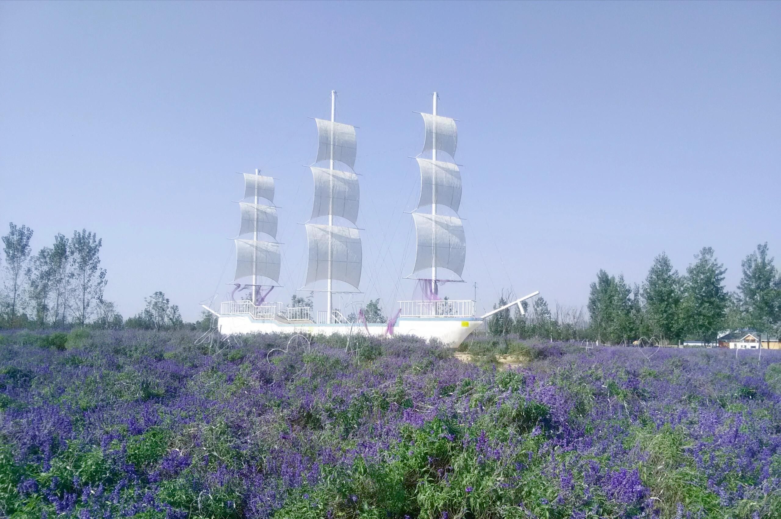 中国薰衣草庄园旅行图片 2