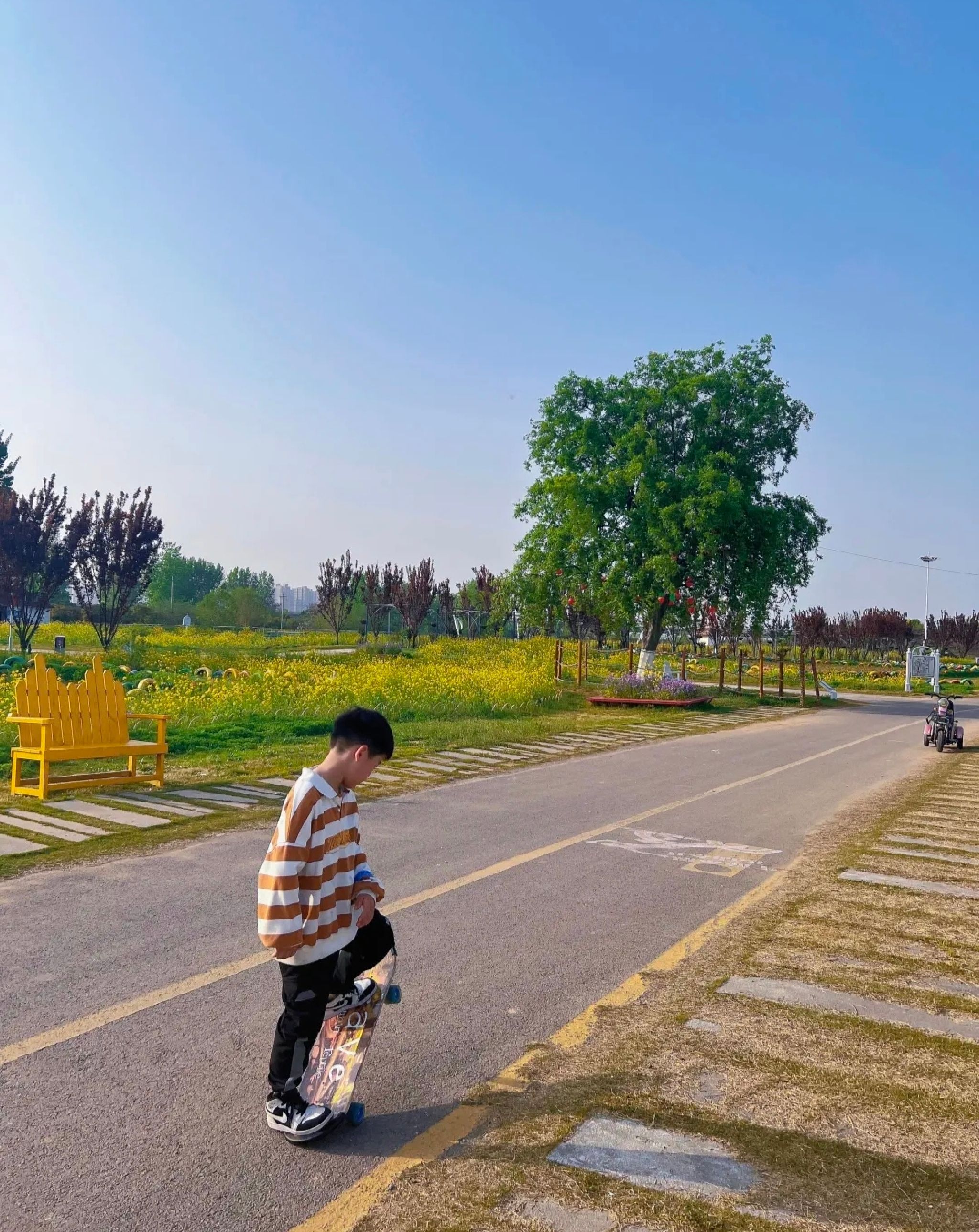 中国薰衣草庄园旅行图片 2