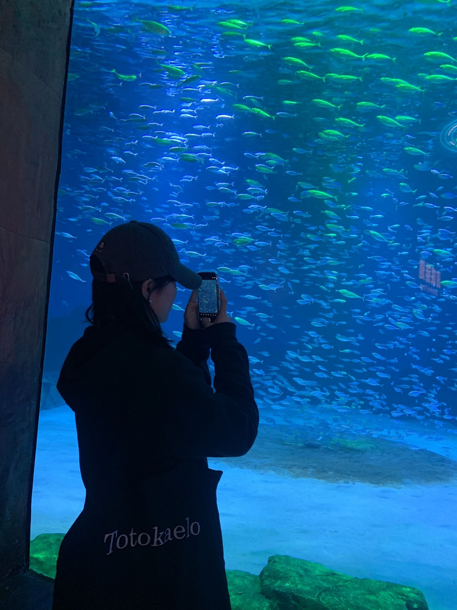 重庆汉海海洋公园旅行图片 1