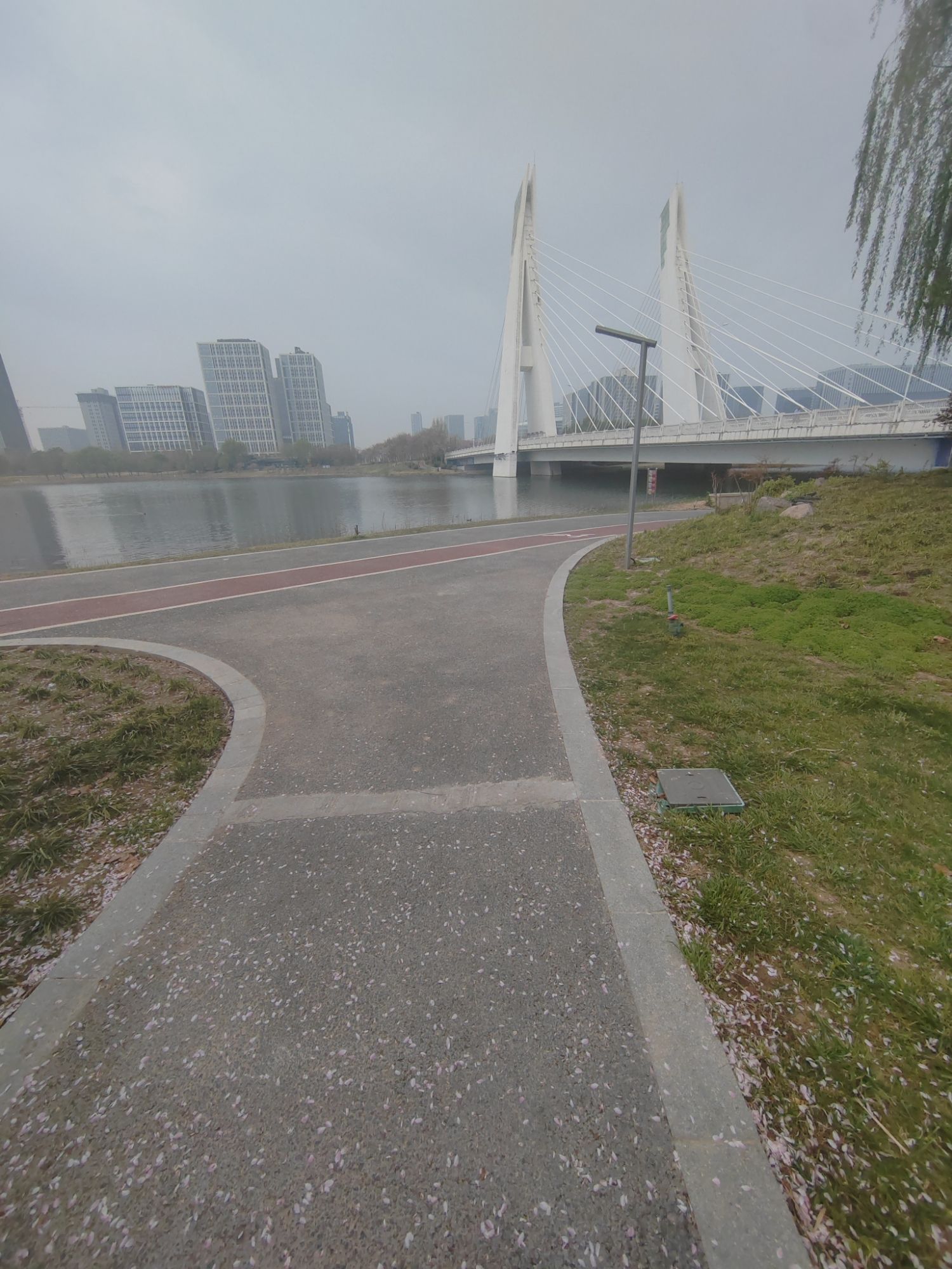 龙子湖公园旅行图片 3