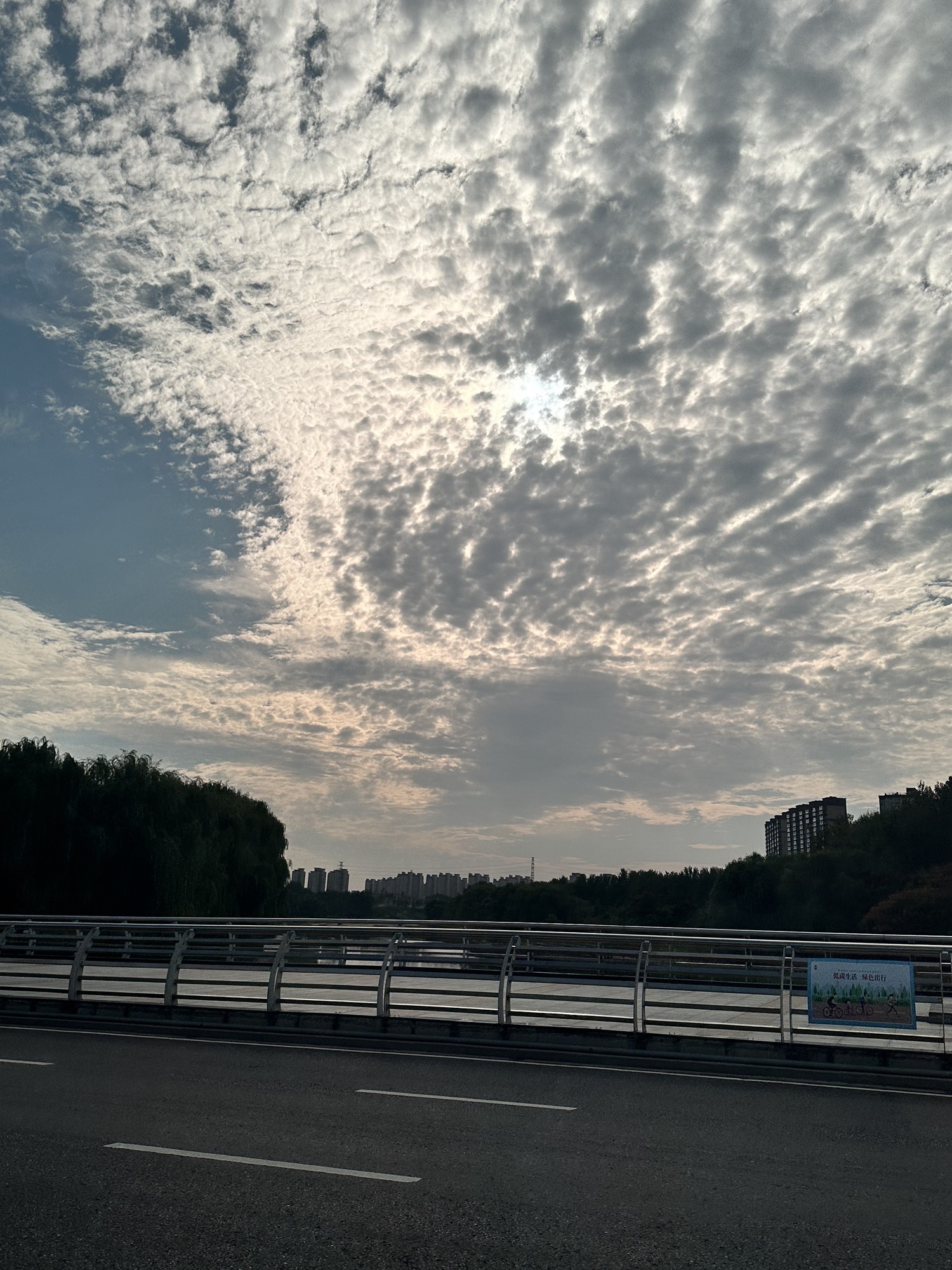 龙子湖公园旅行图片 1