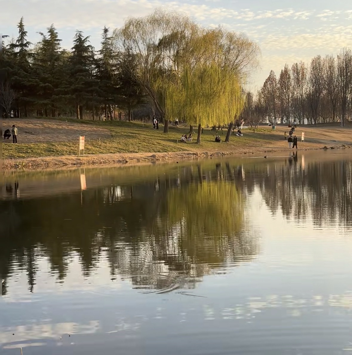 龙子湖公园旅行图片 2