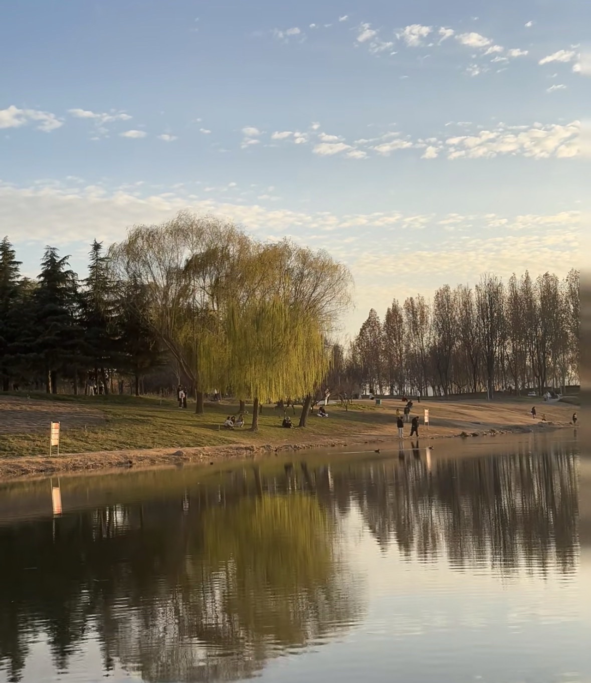 龙子湖公园旅行图片 1