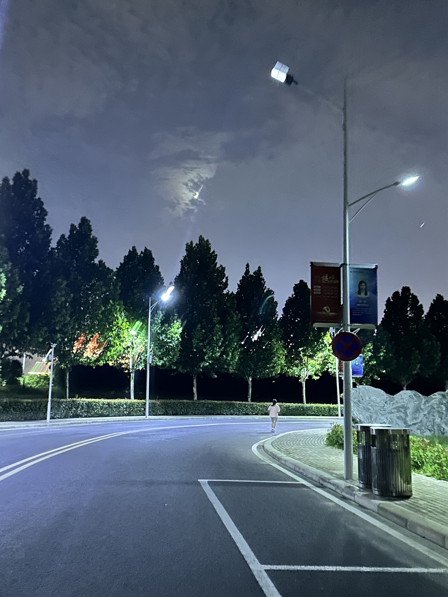 龙子湖公园旅行图片 3