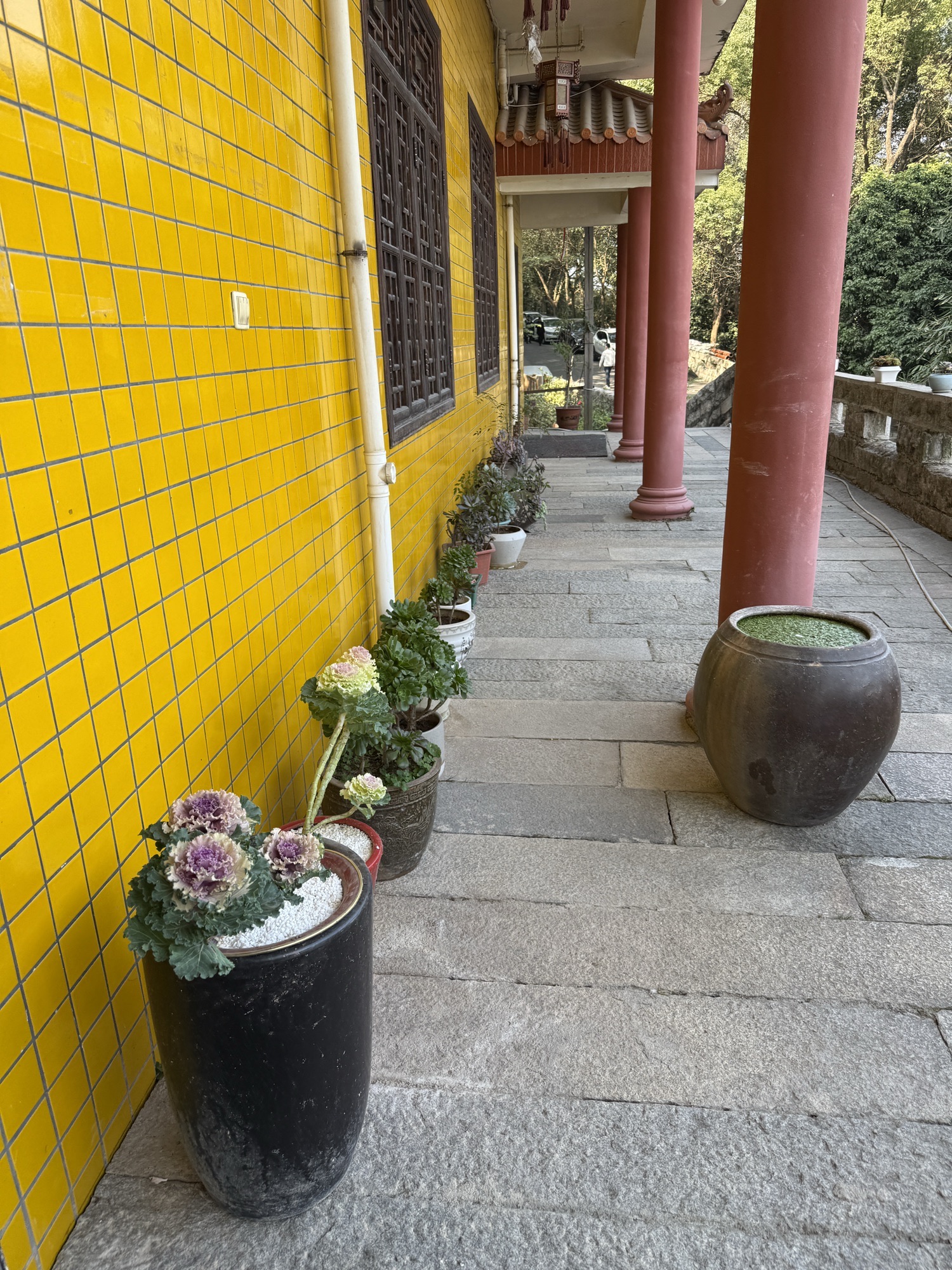七首岩寺旅行图片 2