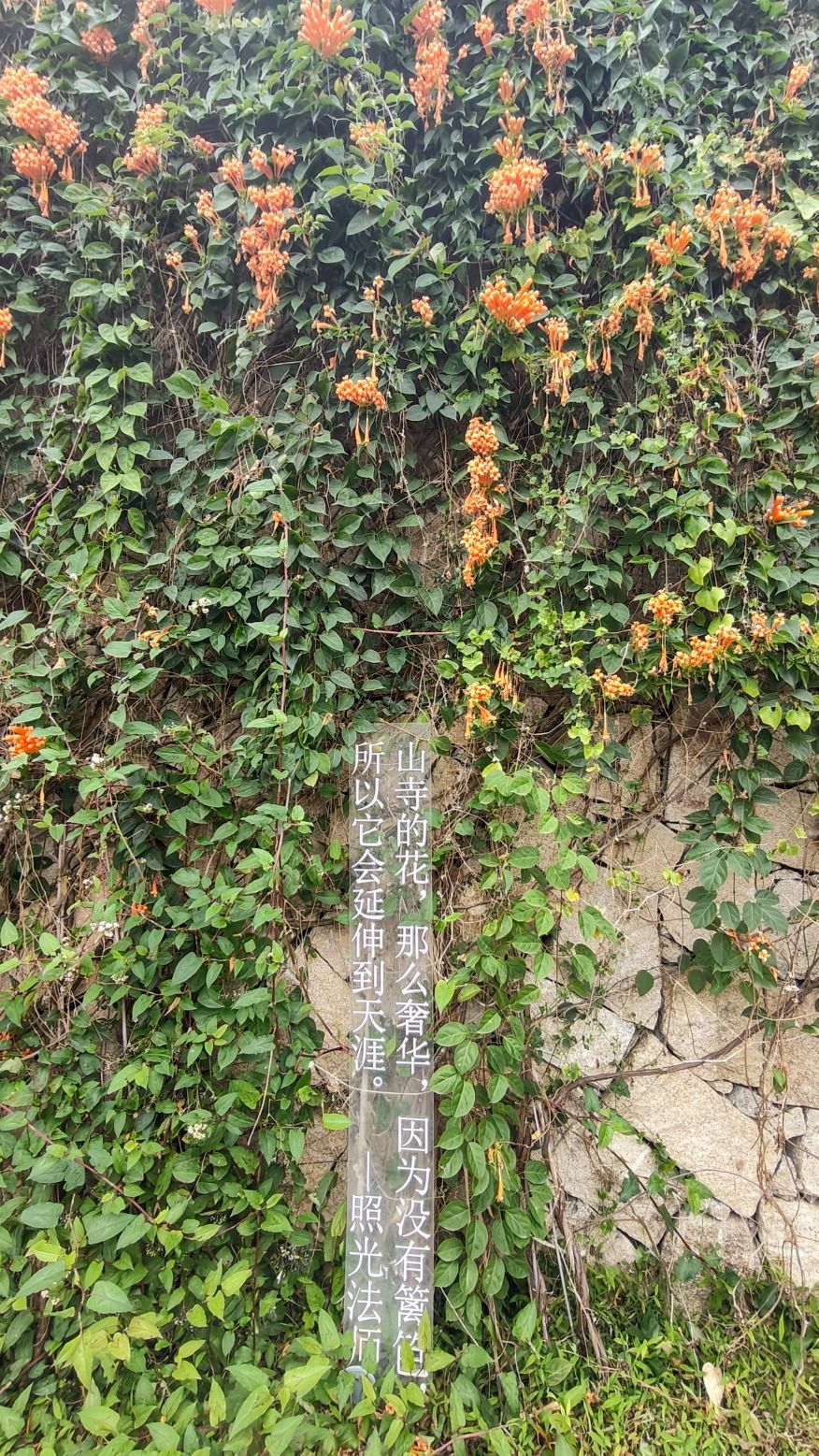 七首岩寺旅行图片 2