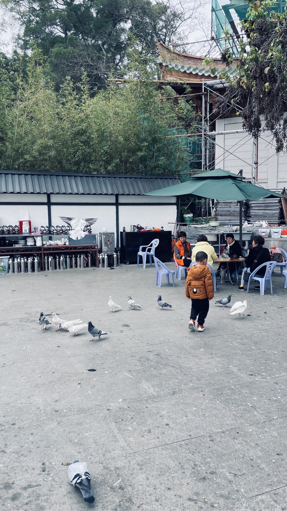 七首岩寺旅行图片 2