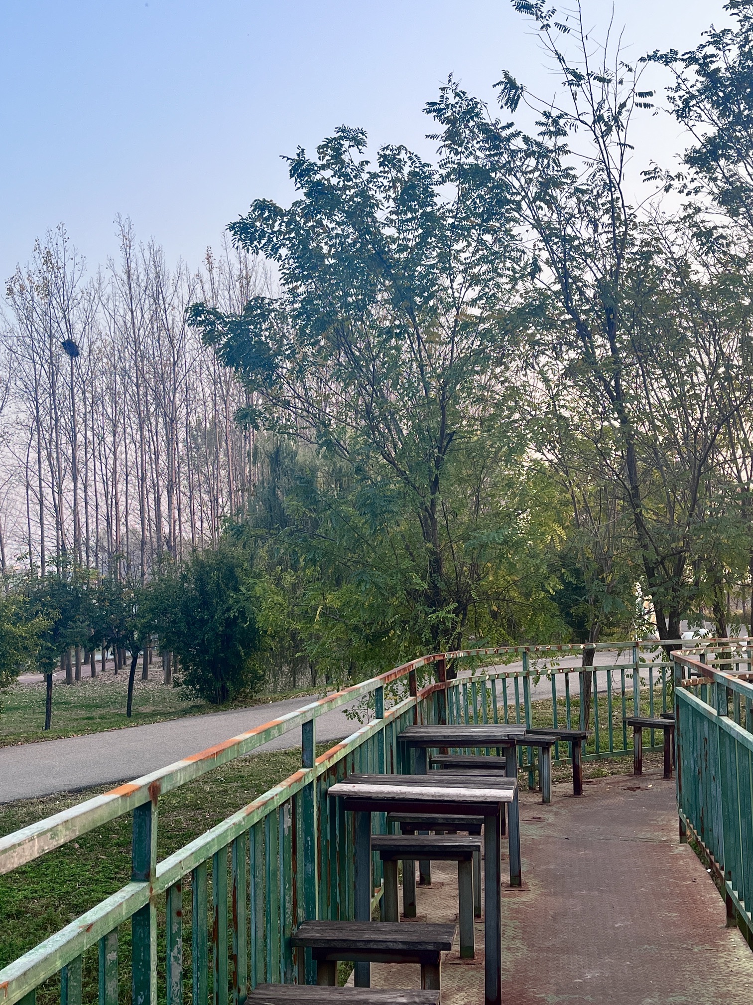 樱花游园旅行图片 2