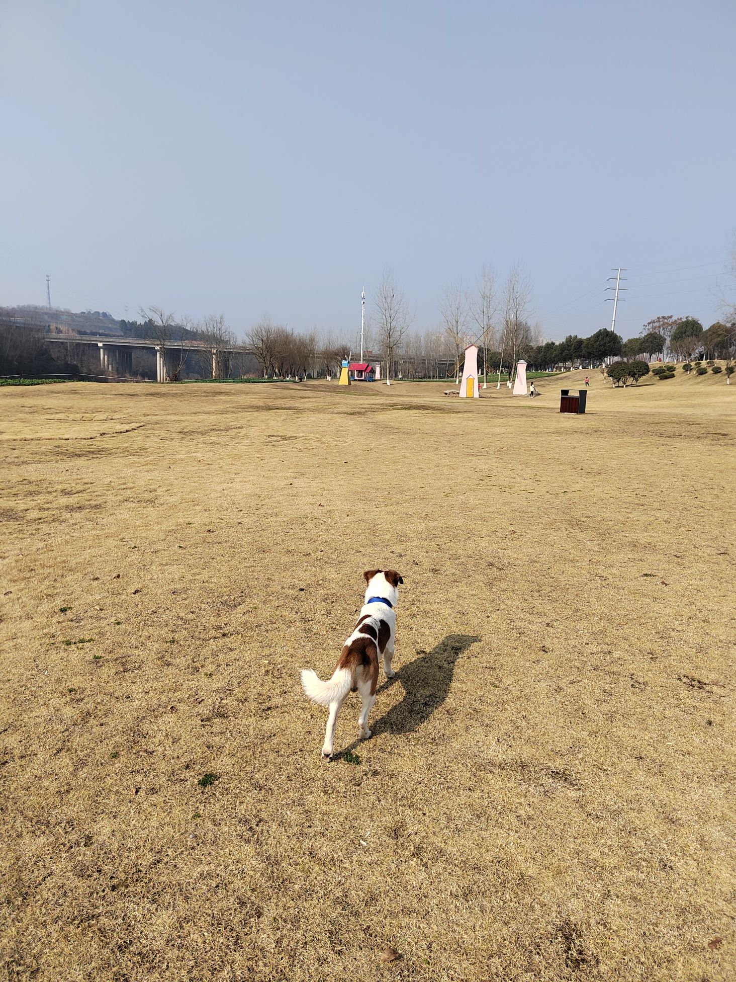 柏临河湿地公园旅行图片 1