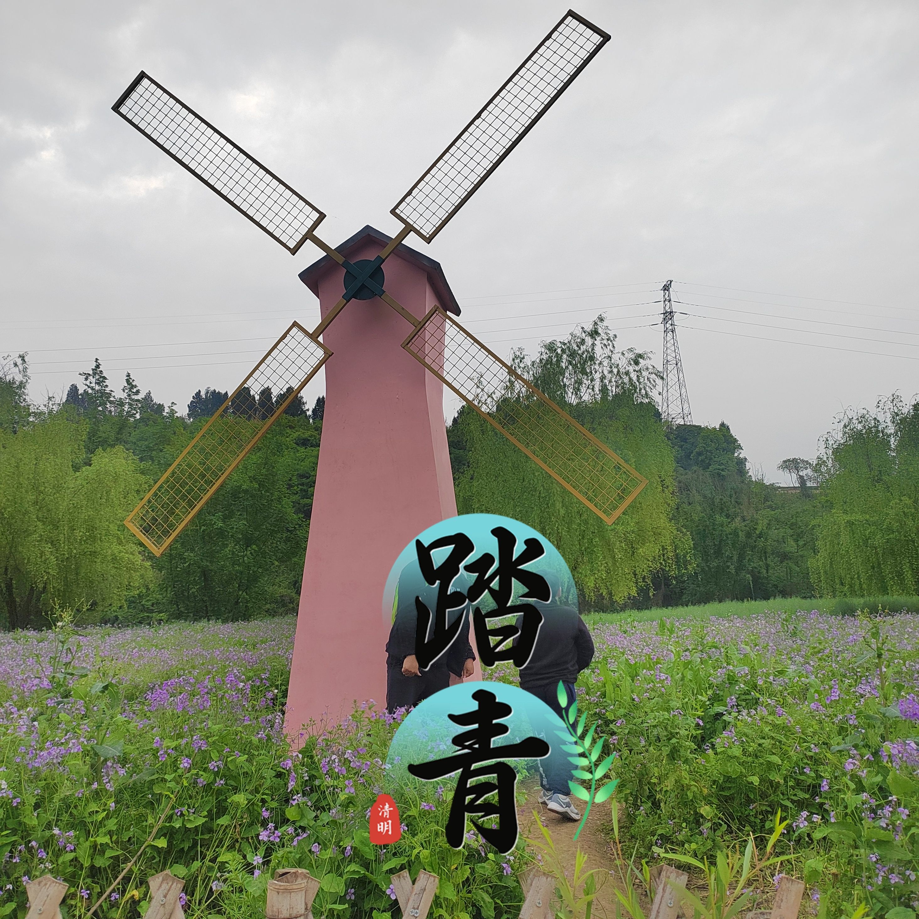 柏临河湿地公园旅行图片 3