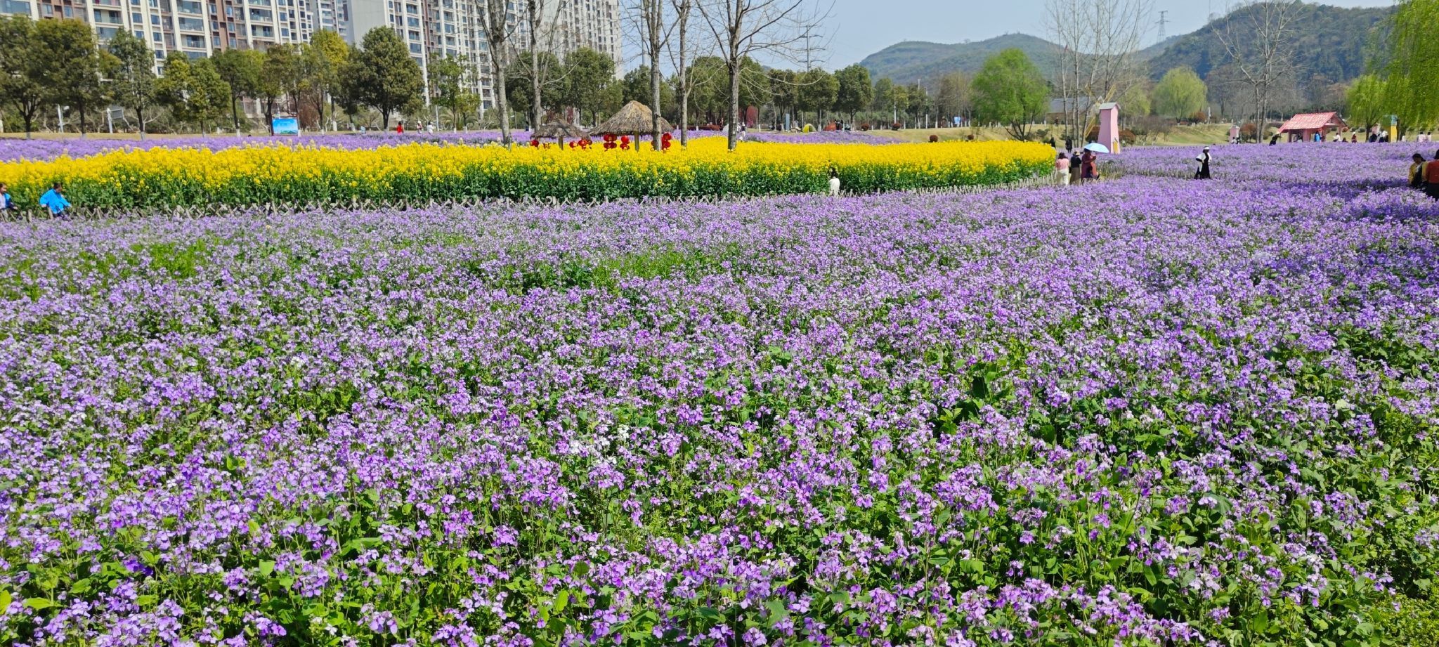柏临河湿地公园旅行图片 1