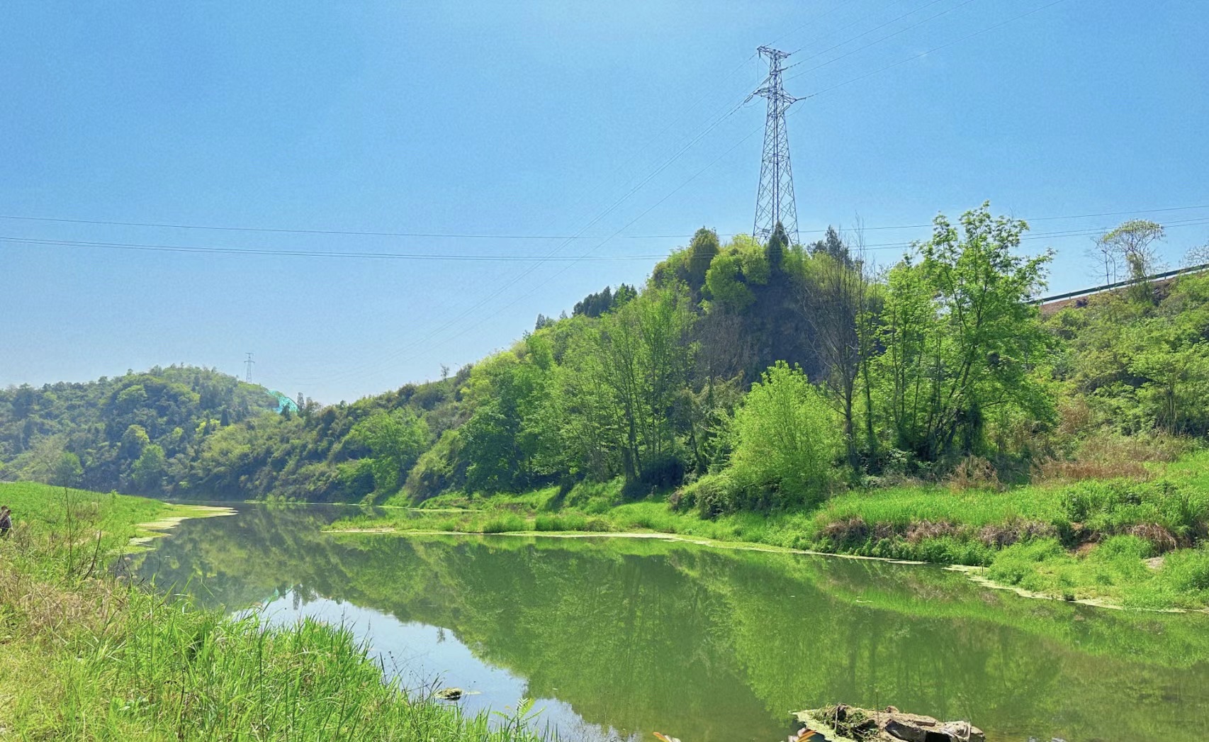 柏临河湿地公园
