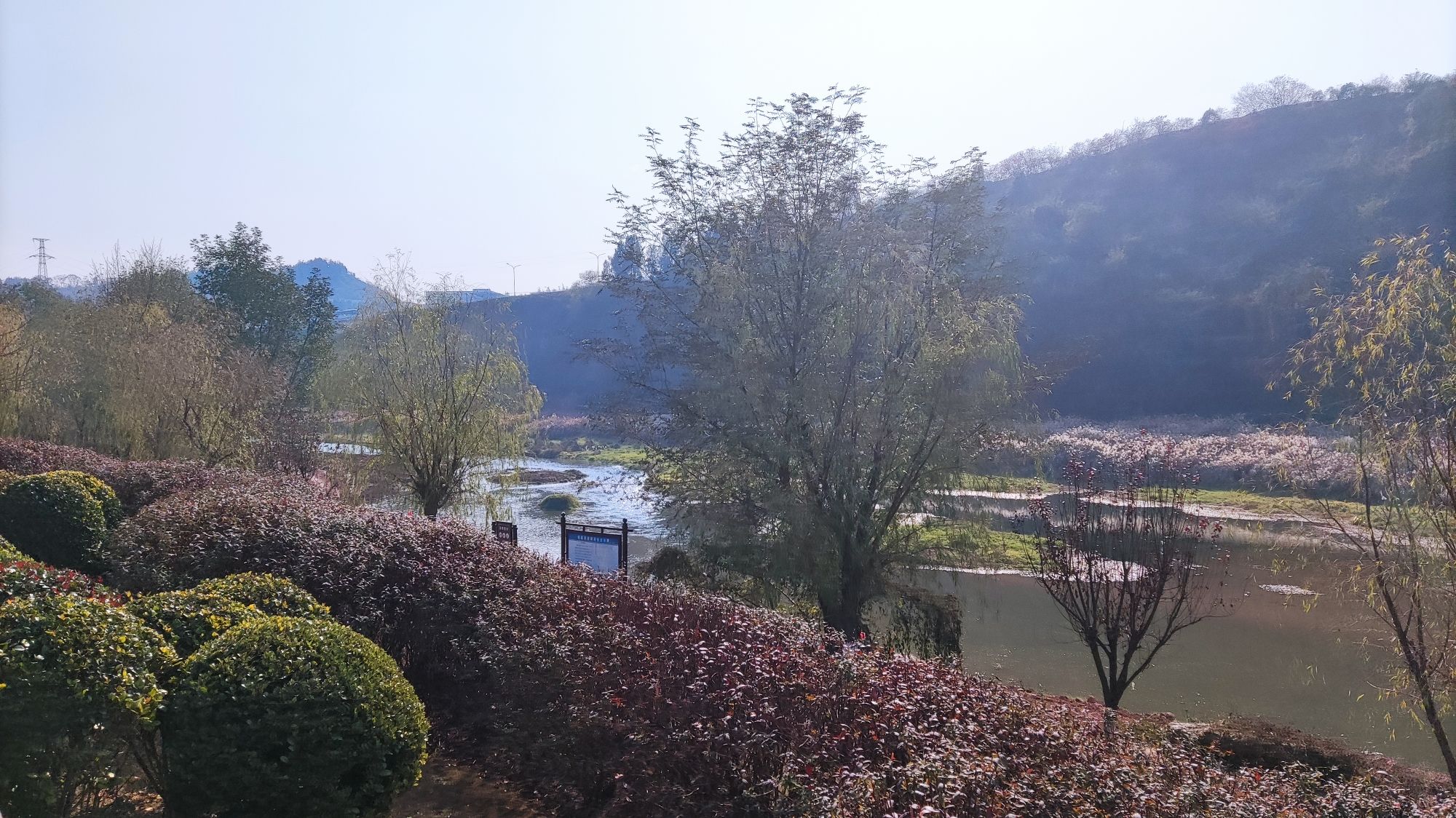 柏临河湿地公园旅行图片 2