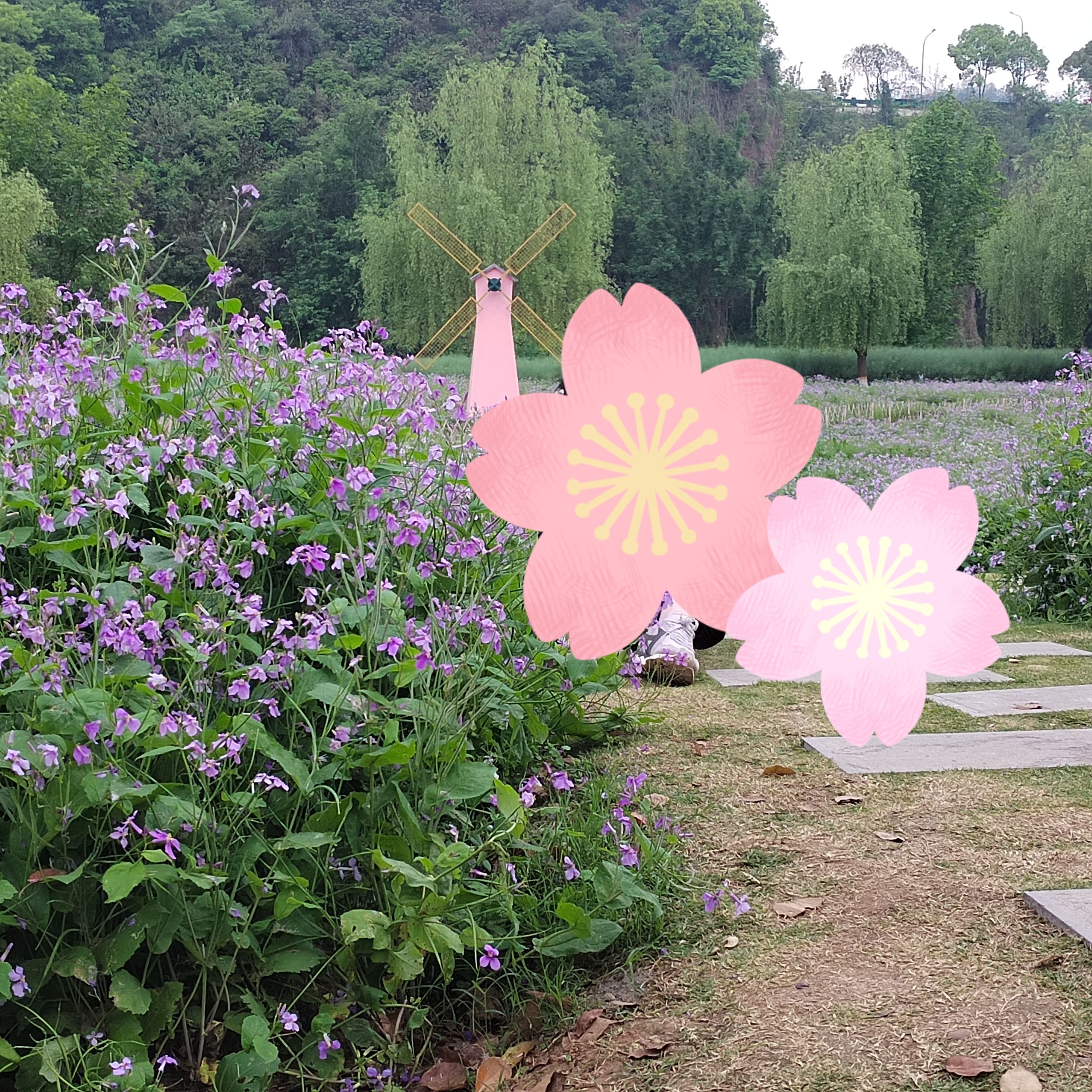 柏临河湿地公园旅行图片 1