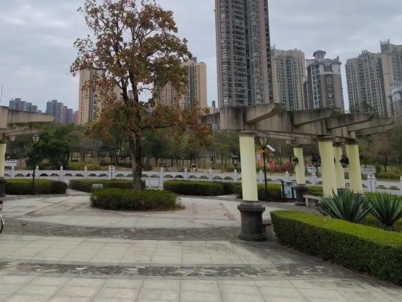 惠州鹿江公园旅行图片 1