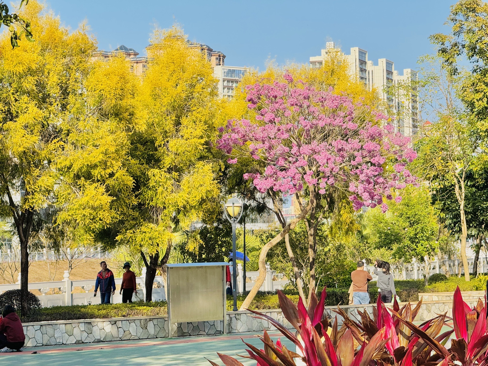 惠州鹿江公园旅行图片 1