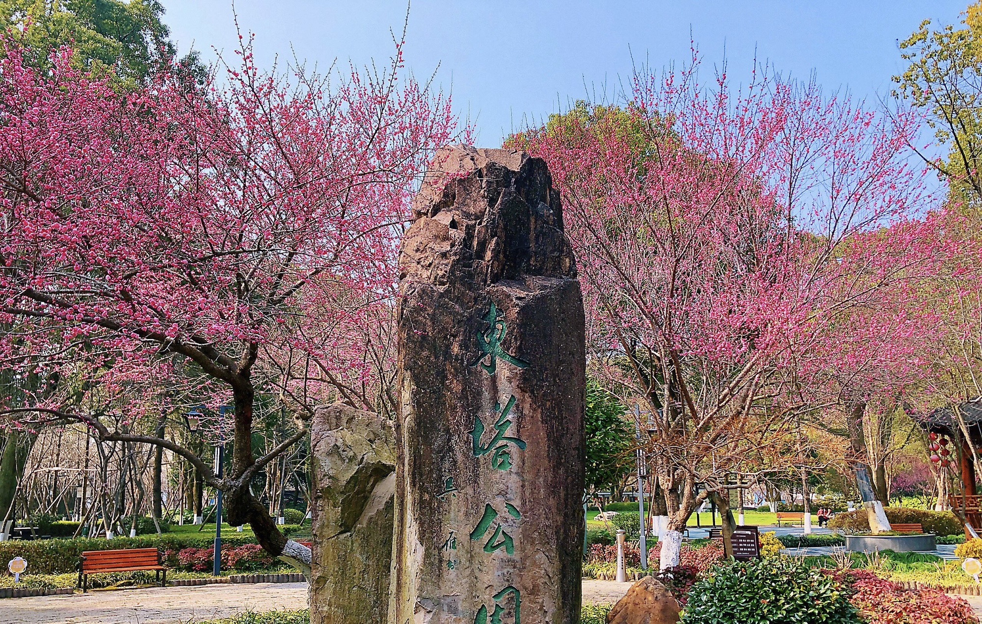 东山公园旅行图片 3