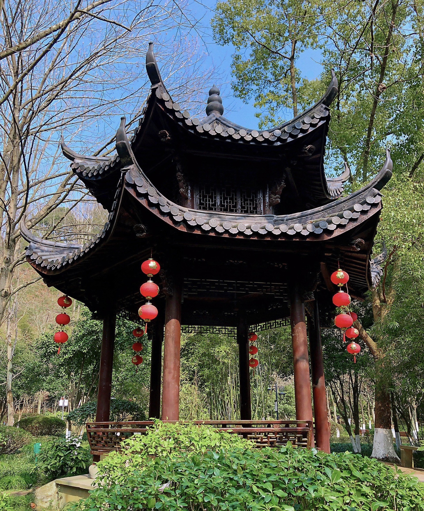 东山公园旅行图片 2
