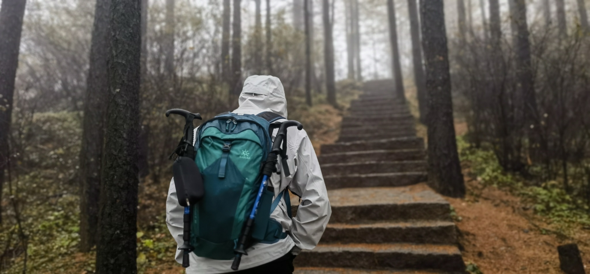 五岳寨国家森林公园(暂停开放)旅行图片 3