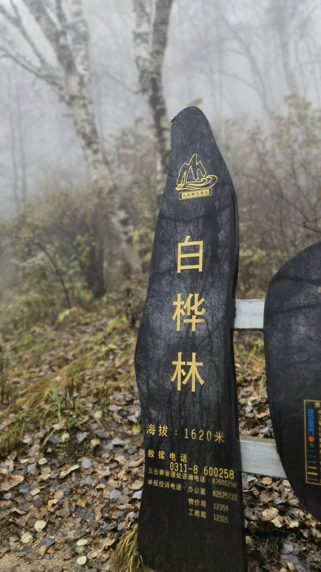 五岳寨国家森林公园(暂停开放)旅行图片 2