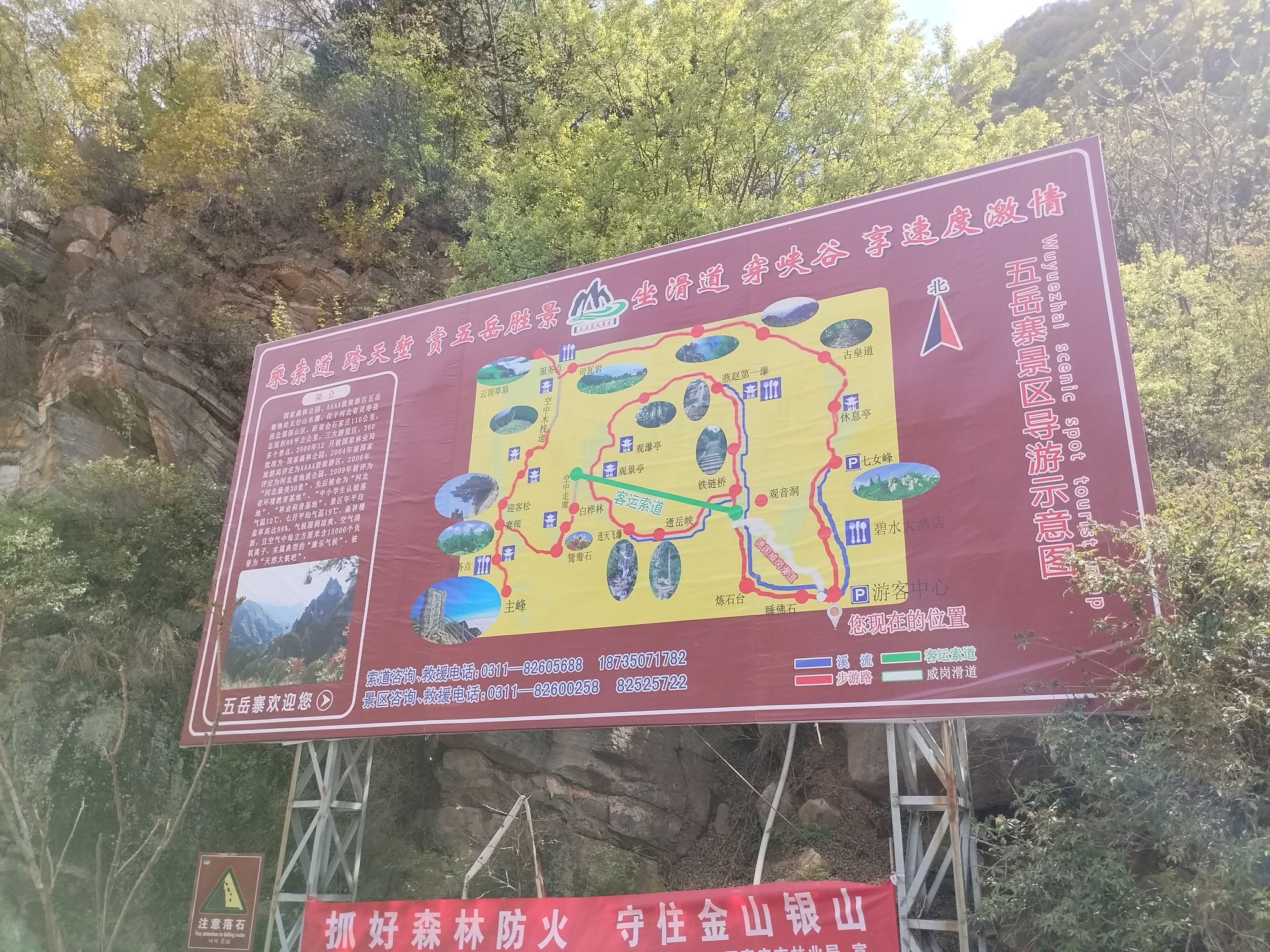 五岳寨国家森林公园(暂停开放)旅行图片 2