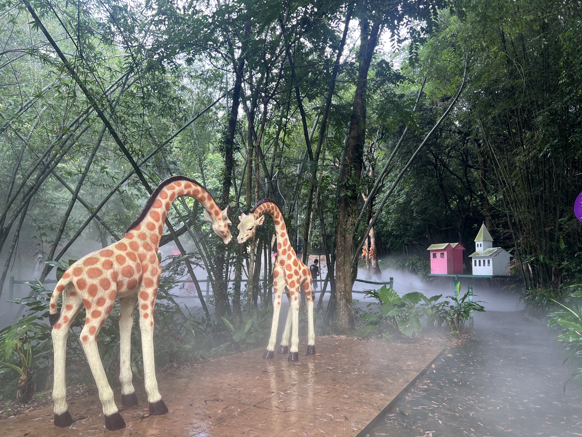 南丹山森林王国旅行图片 3