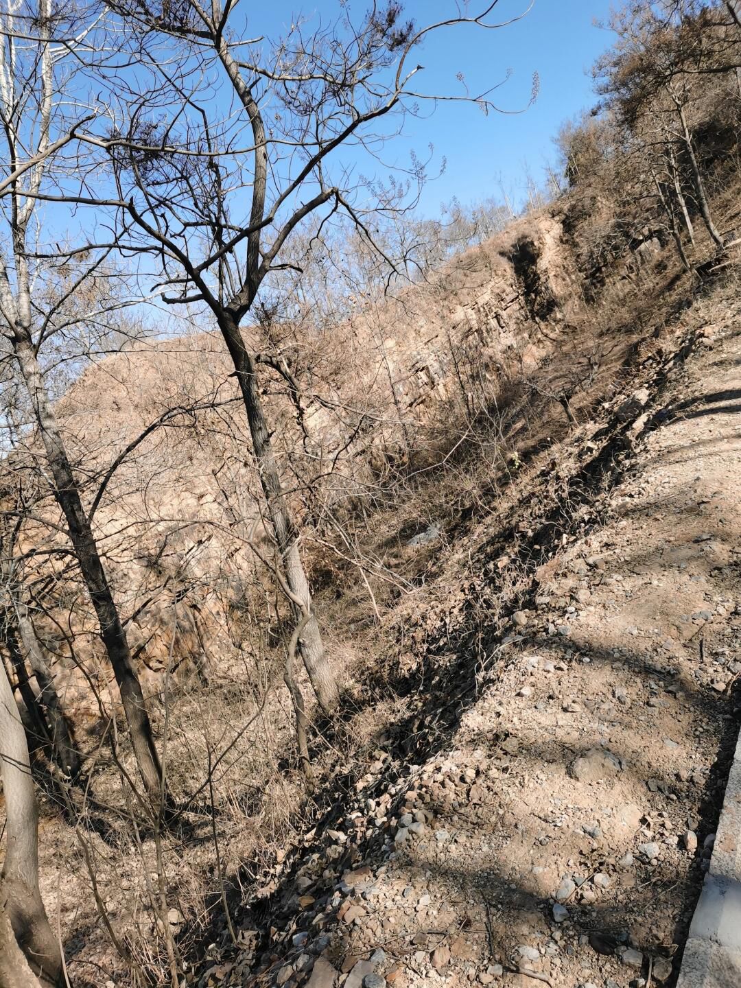 艾山风景名胜区旅行图片 3
