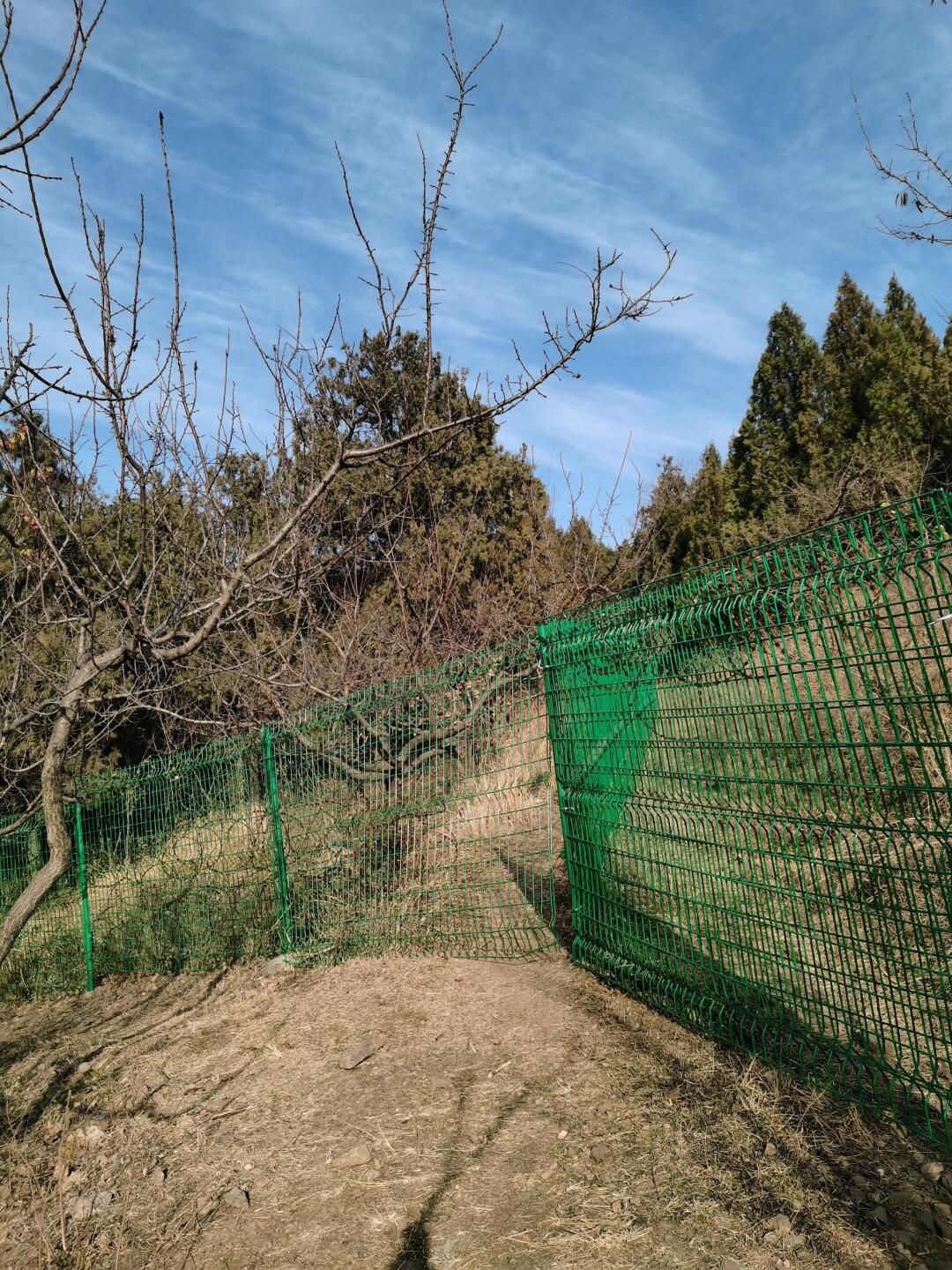 艾山风景名胜区旅行图片 3