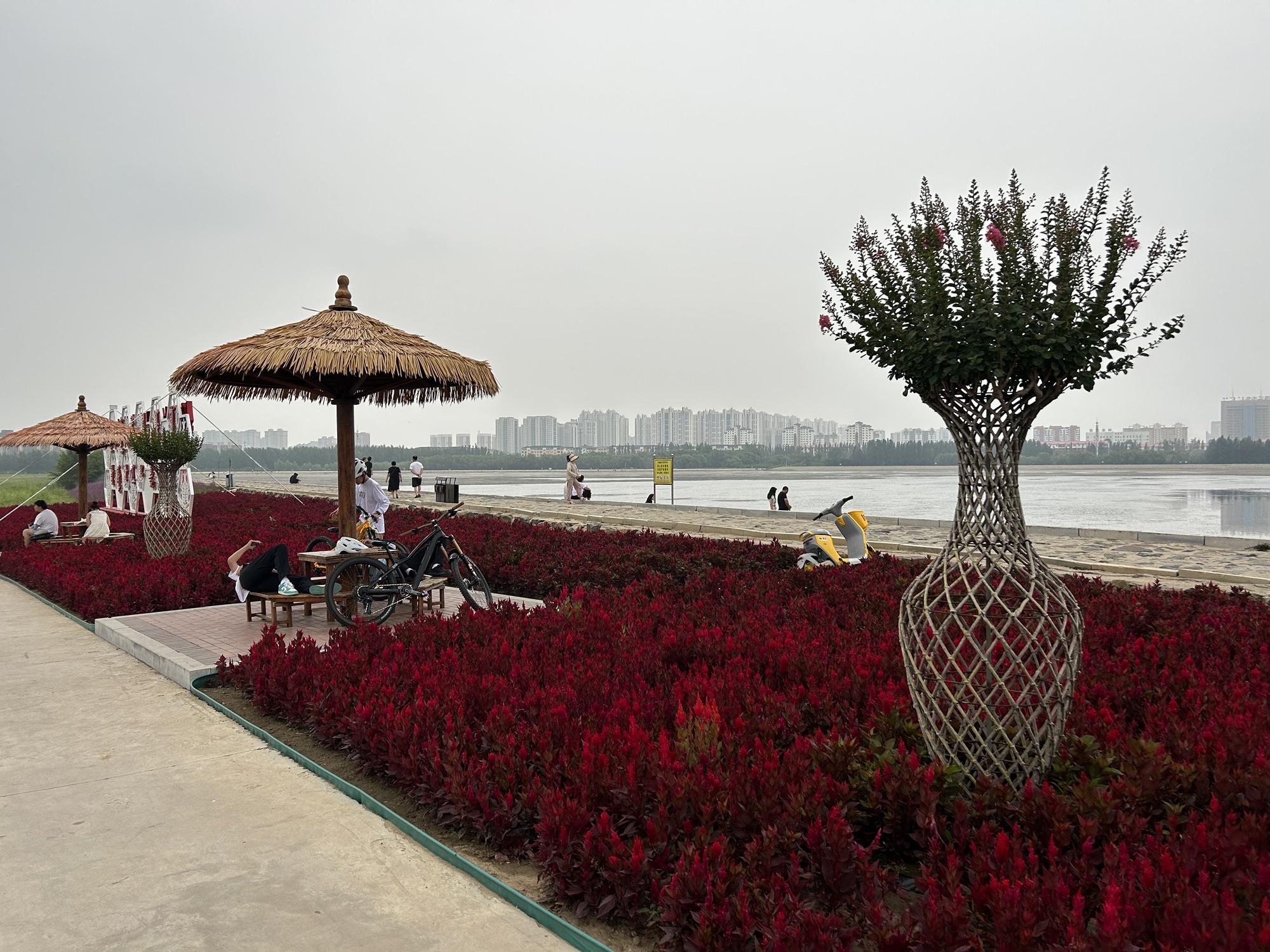 通辽薰衣草庄园旅行图片 2