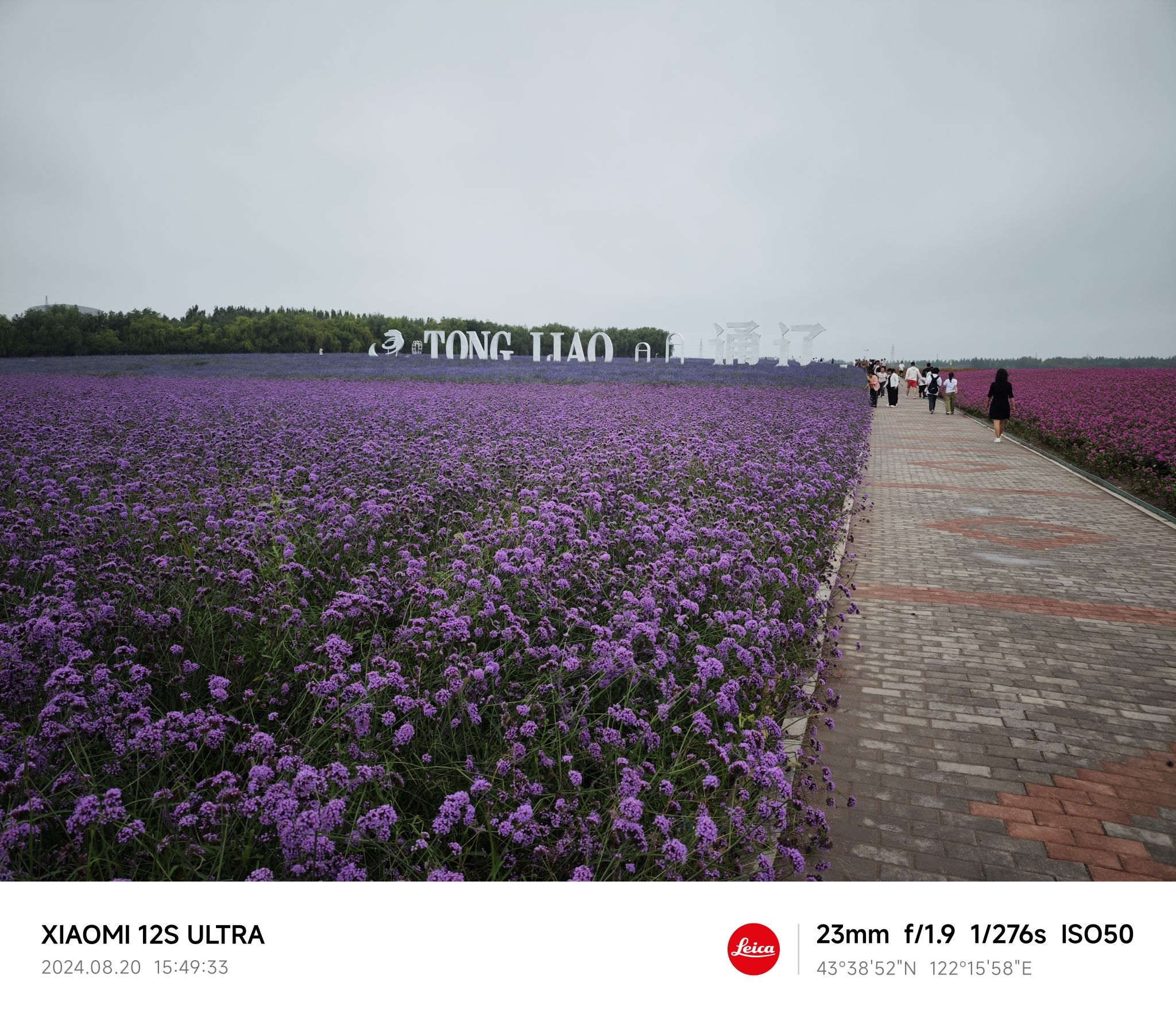 通辽薰衣草庄园旅行图片 1