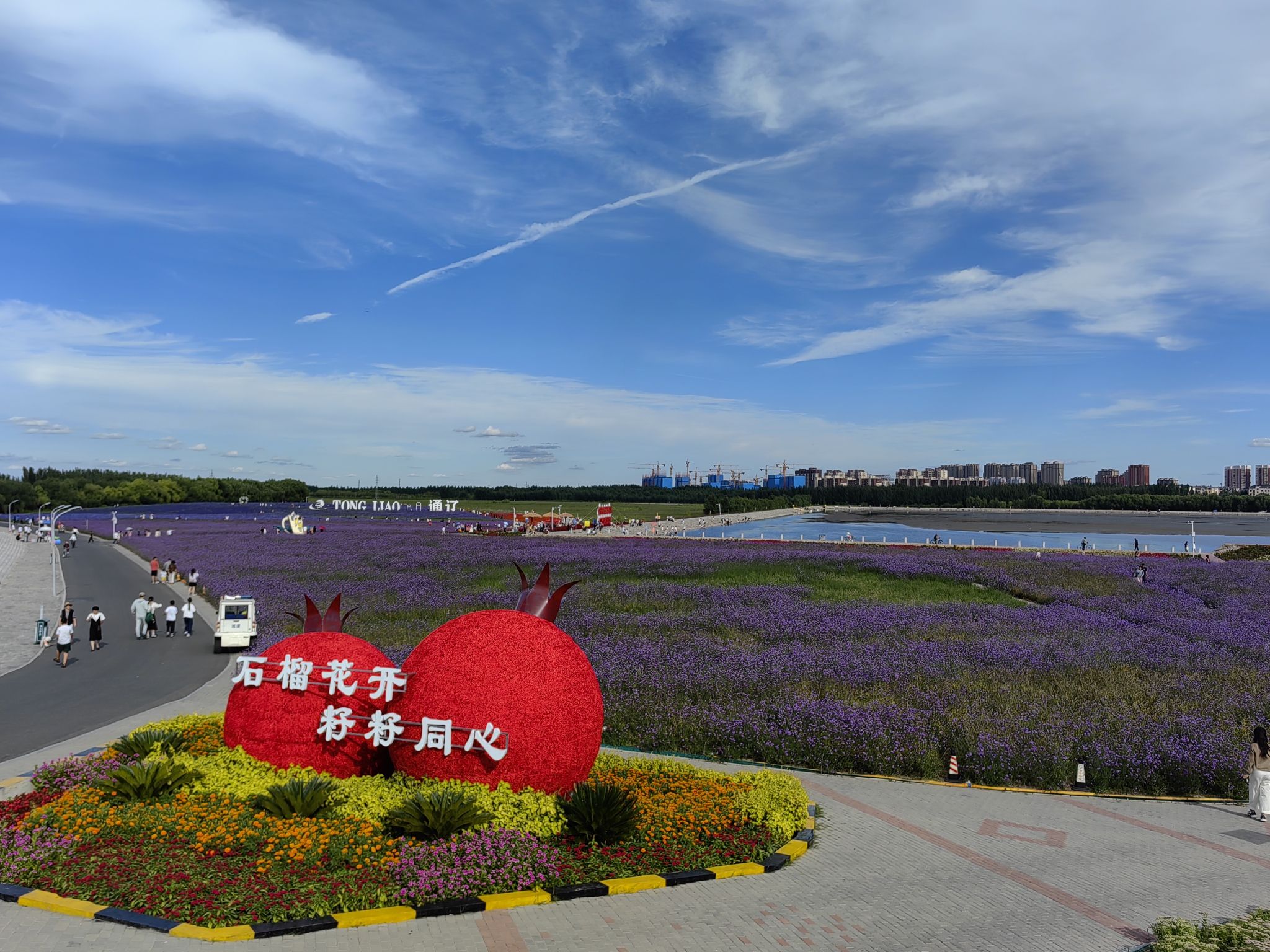 通辽薰衣草庄园