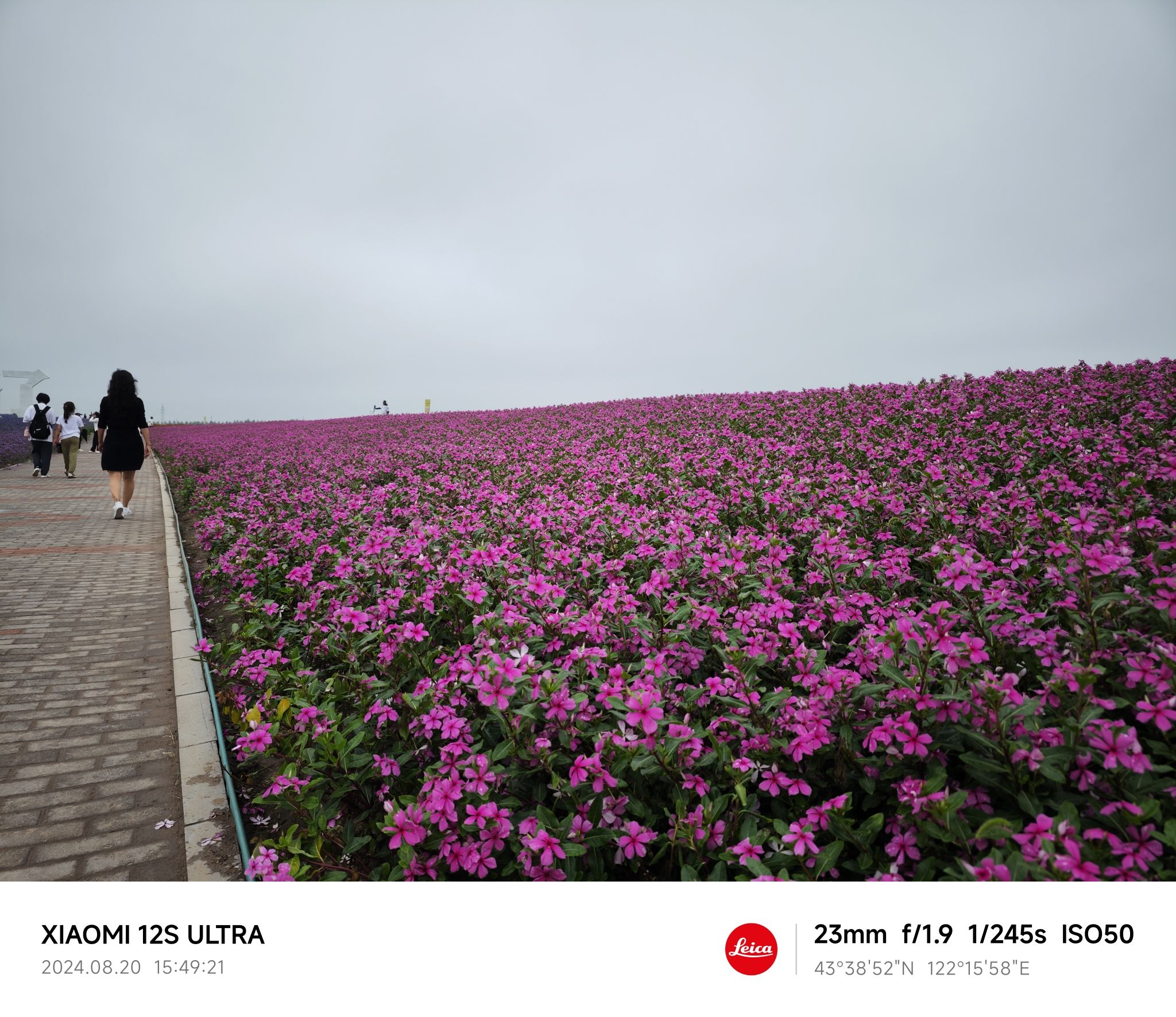 通辽薰衣草庄园旅行图片 3
