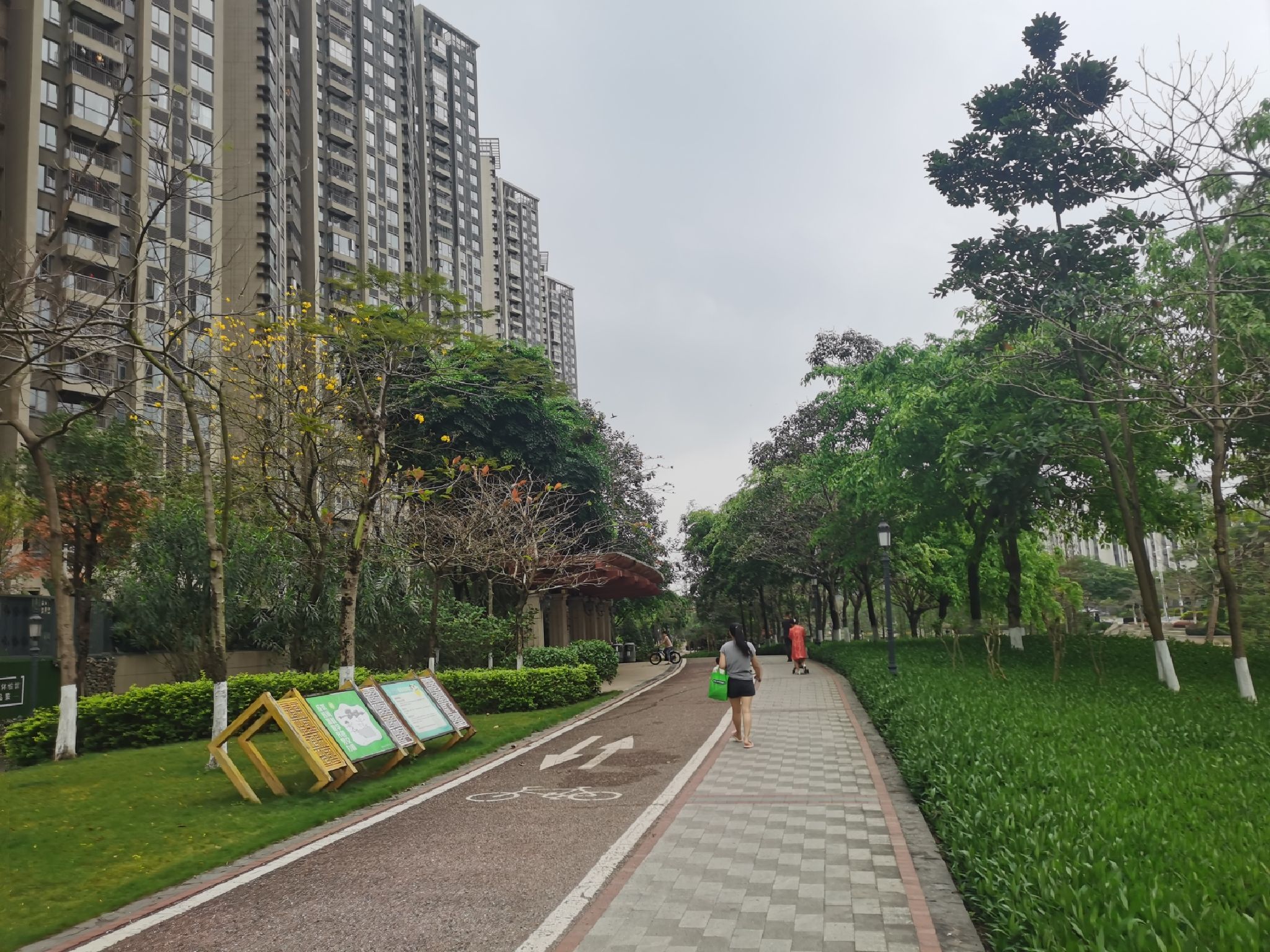 北江凤凰公园旅行图片 1