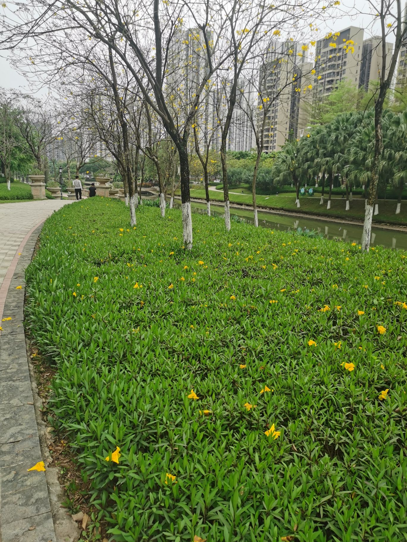 北江凤凰公园旅行图片 3