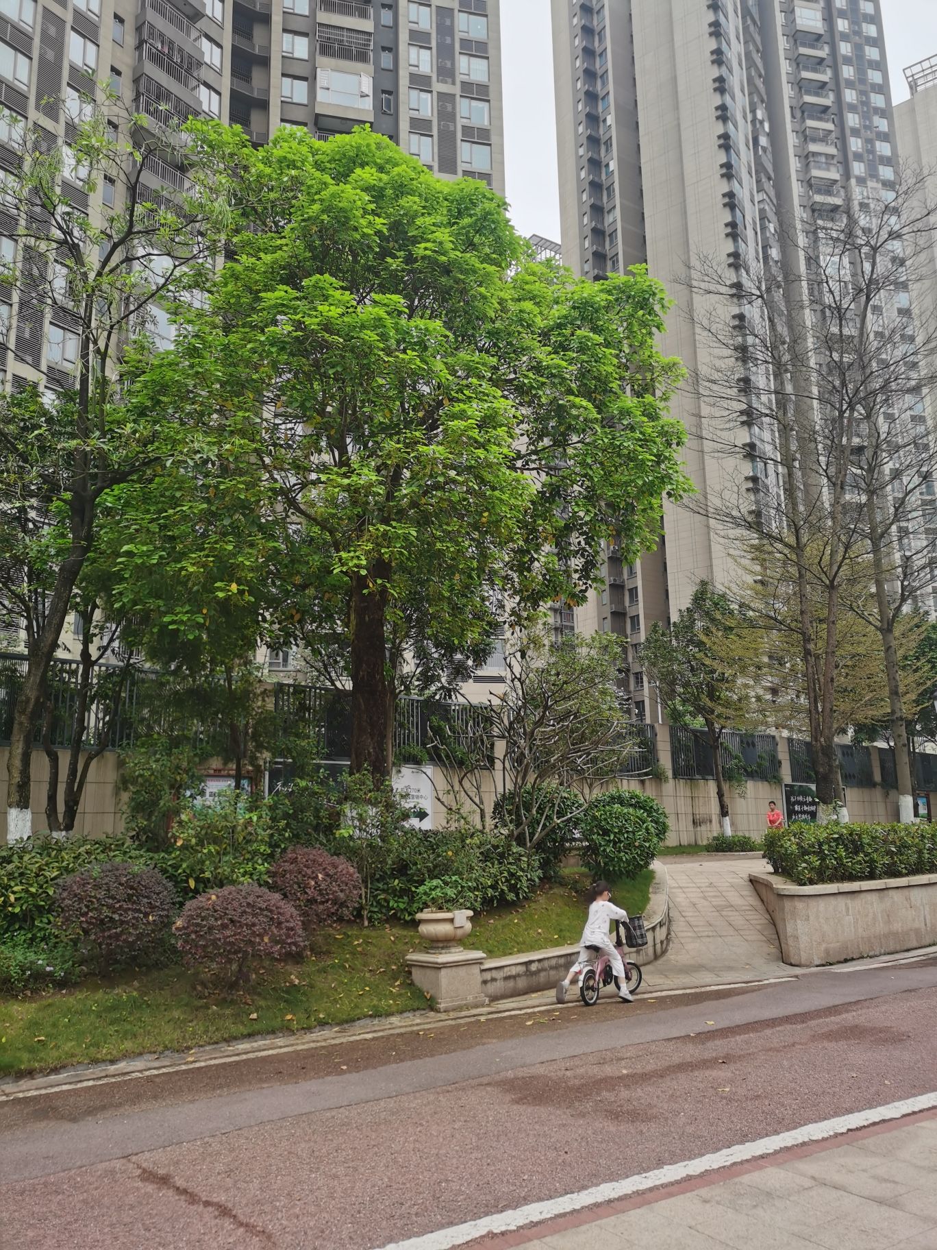 北江凤凰公园旅行图片 2