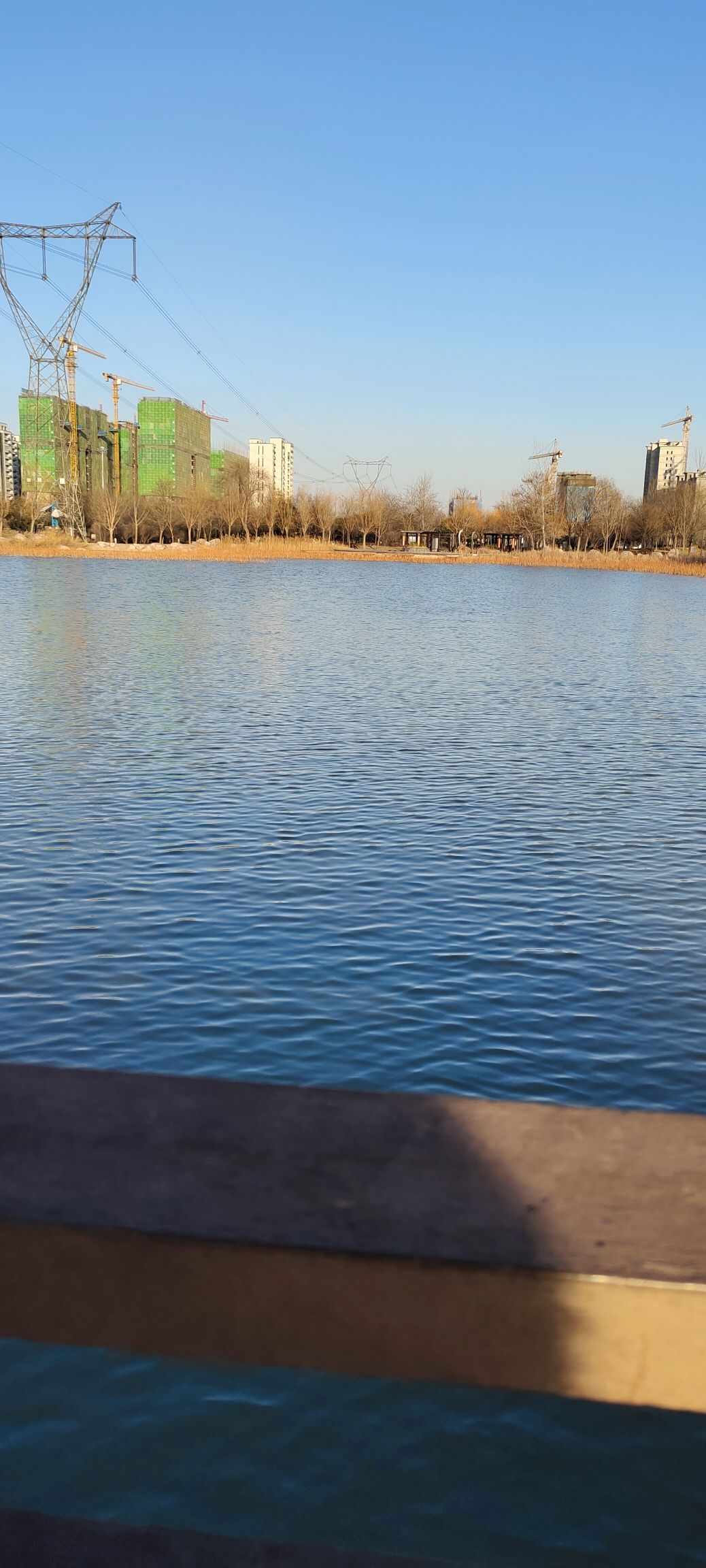 凤鸣湖公园旅行图片 2