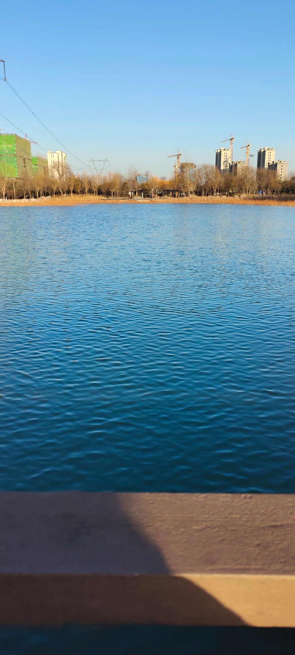 凤鸣湖公园旅行图片 1